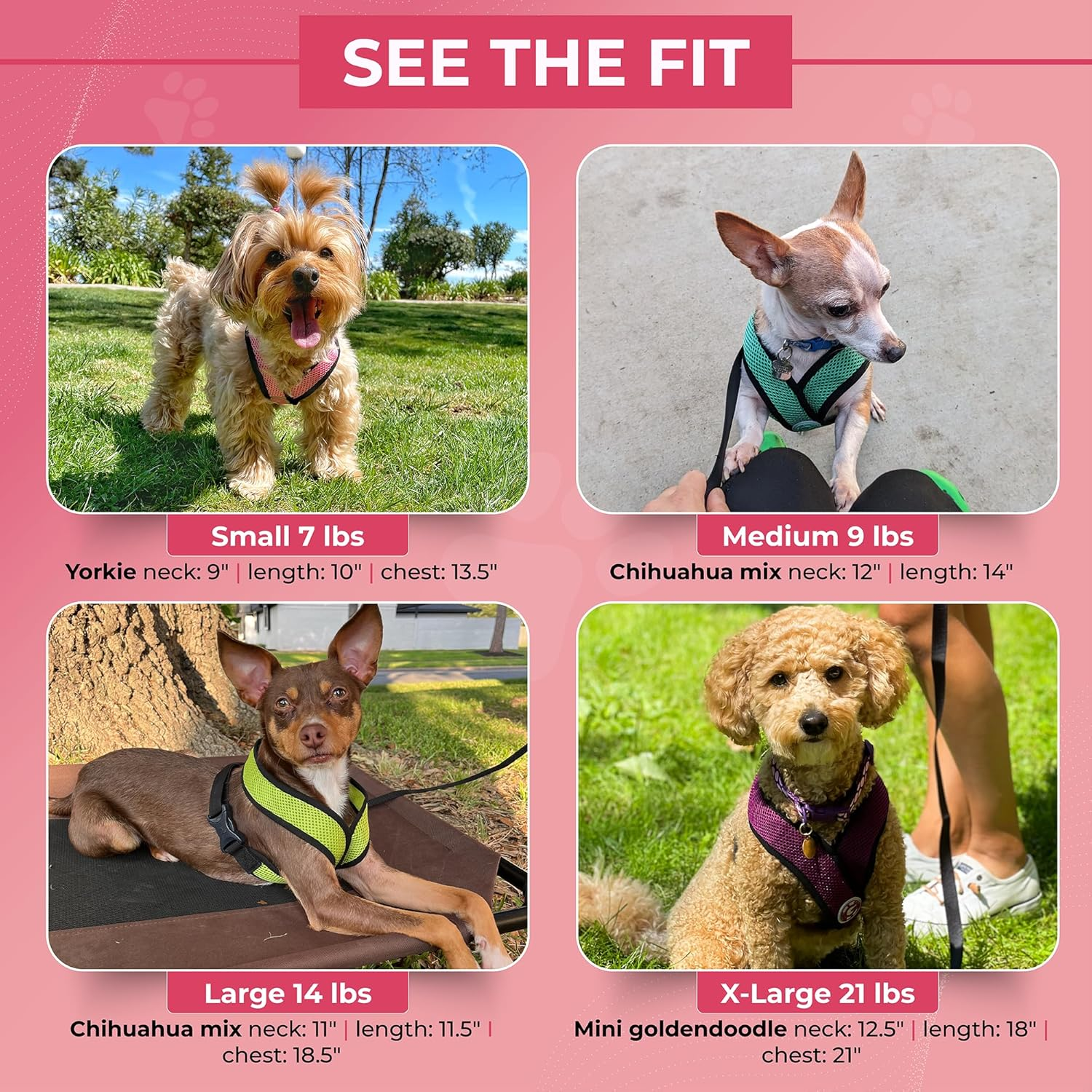 Gooby - Comfort X Head-In Harness, Choke Free Small Dog Harness with Micro Suede Trimming and Patented X Frame, Blue, Medium image number 3