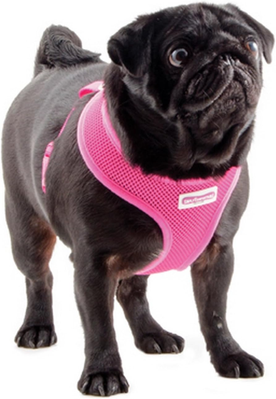 Simply Comfortable Comfort Mesh Dog Harness, Large image number 5