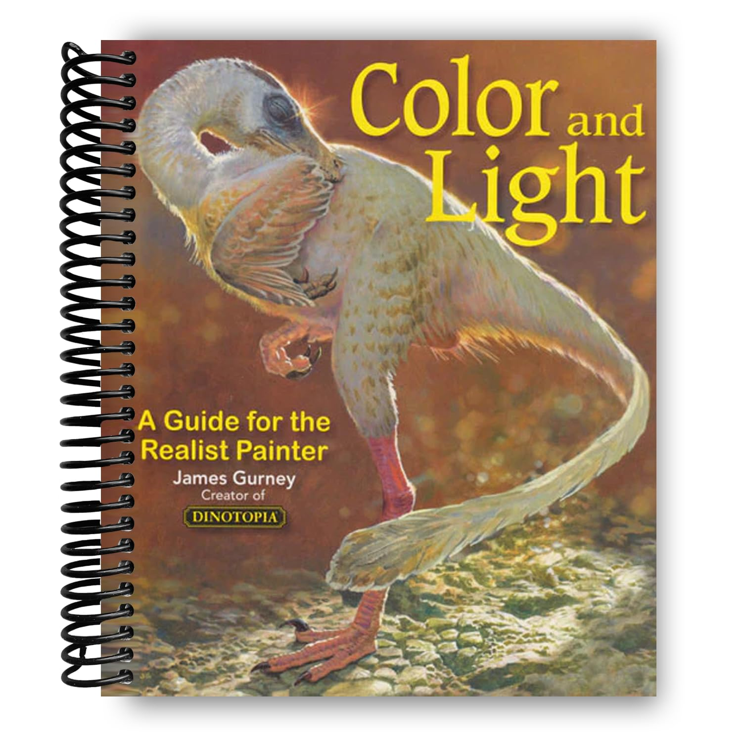 Colour and Light: a Guide for the Realist Painter: Volume 2