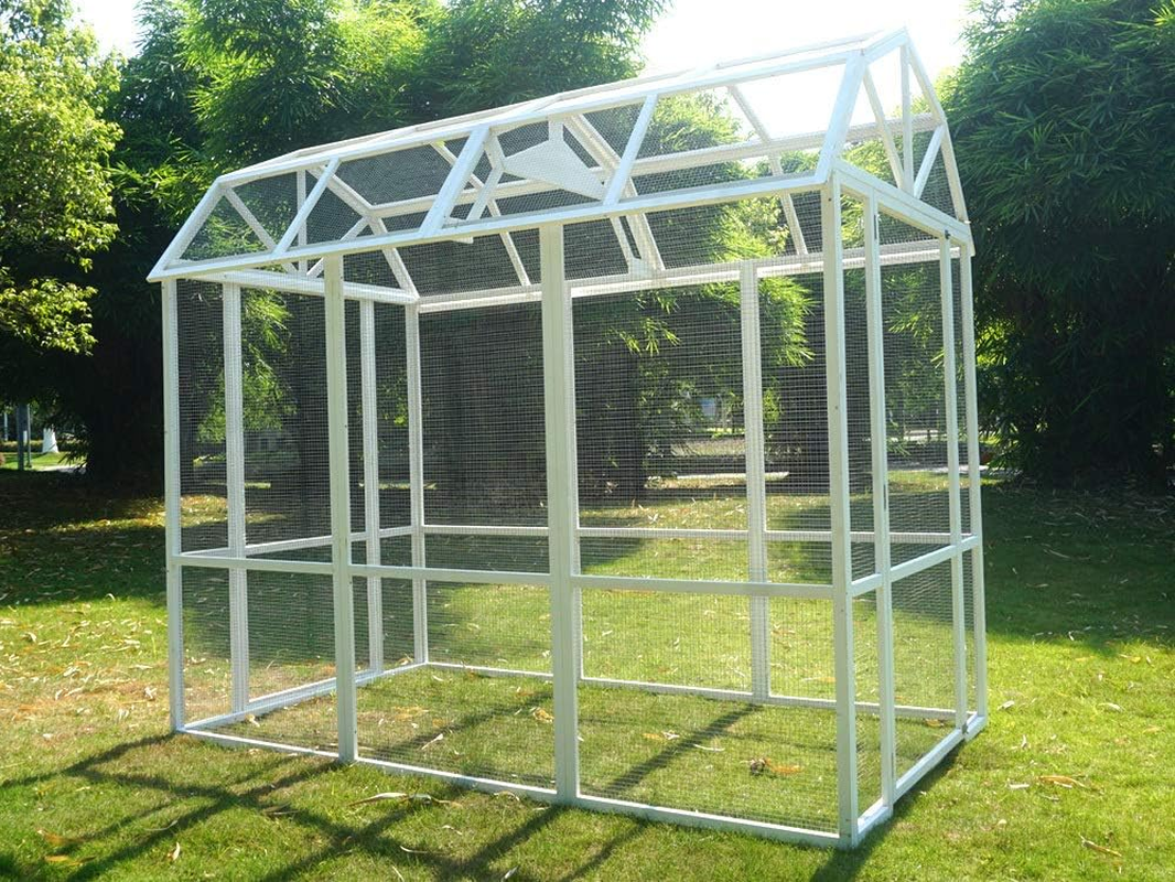 The Grand Barn Chicken Run image number 2