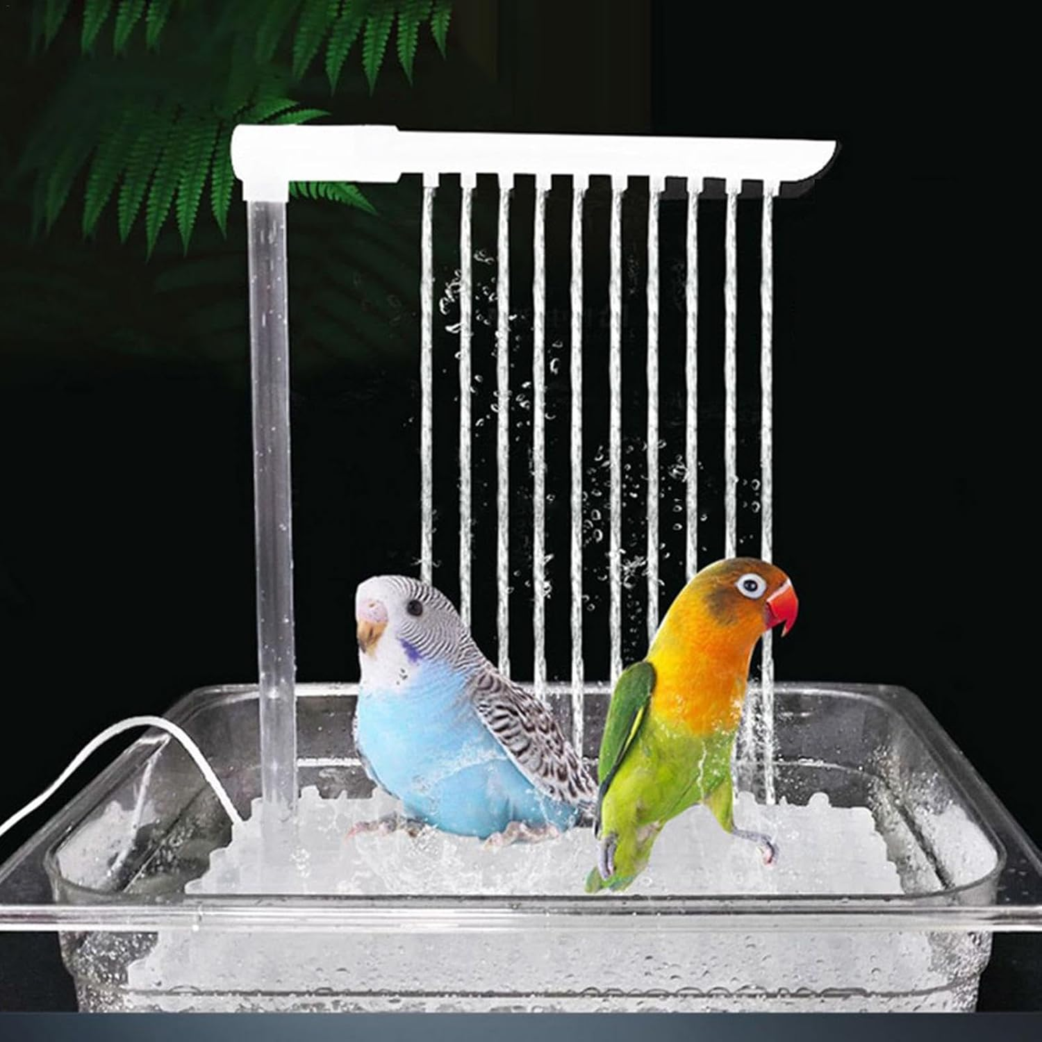 Multipurpose Bird Bathtub, Bird Automatic Bathtub, Bird Automatic Bath Shower, Parrot Bathtub, Automatic Parrot Shower Box, Automatic Parrot Bath Fountain for African Grey, Cockatiel, Conure image number 3