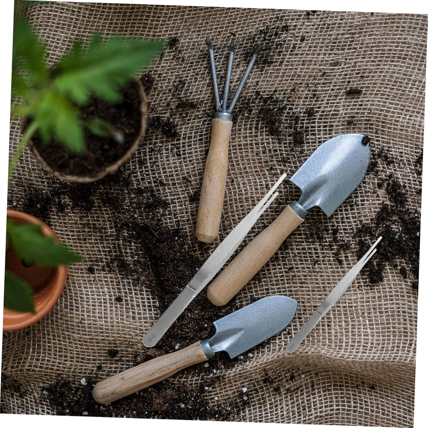 CANIGHT Stainless Steel Gardening Tweezers Set 4-Piece Long Handle Planting Tools for Succulent and 12Cm 18Cm 20Cm 25Cm image number 1