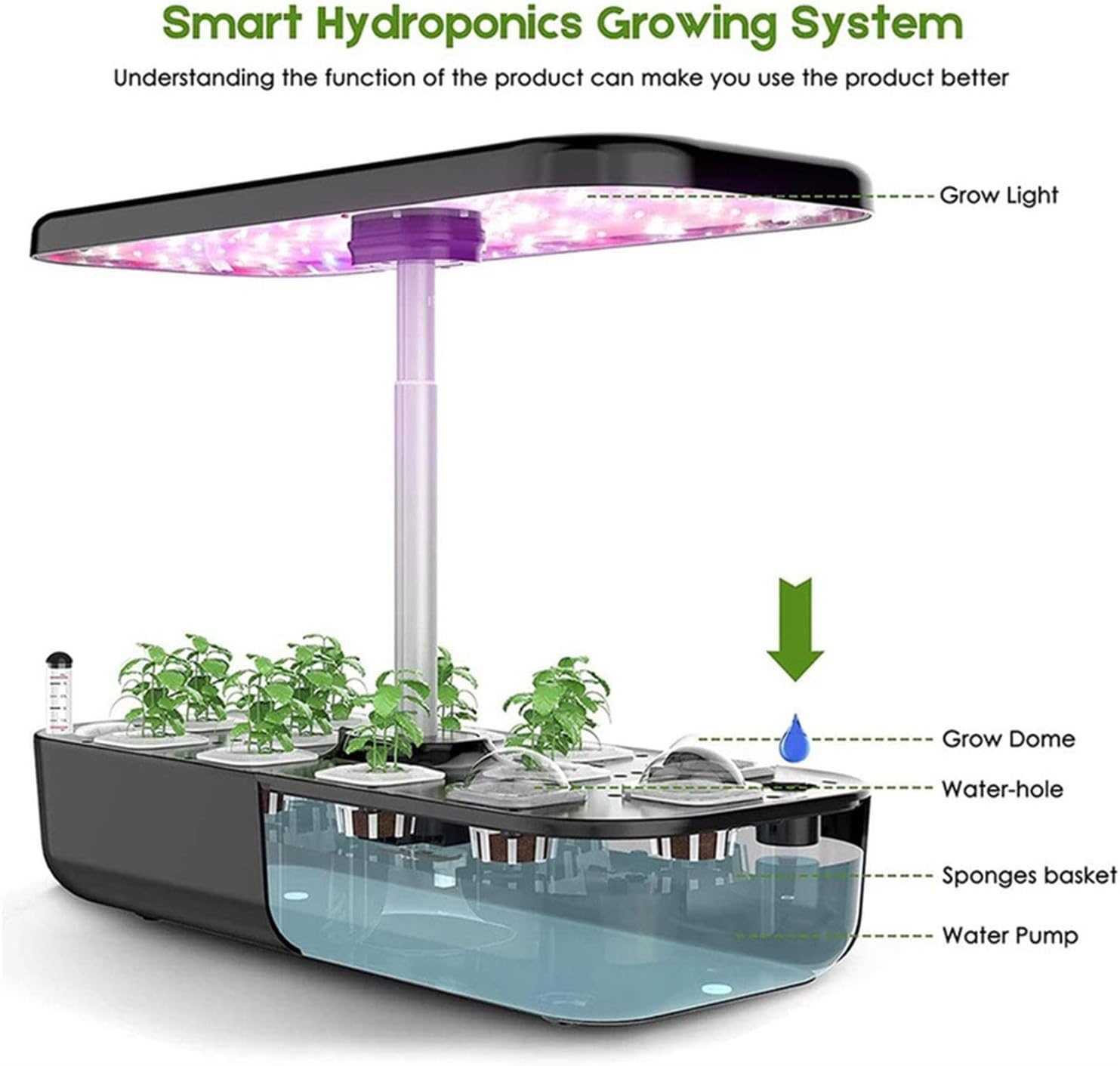 Indoor Herb Garden Hydroponics Growing System with Grow Lights,Indoor Gardening System for Home Kitchen, Hydroponics Supplies with Cycle Pump & Timing image number 2