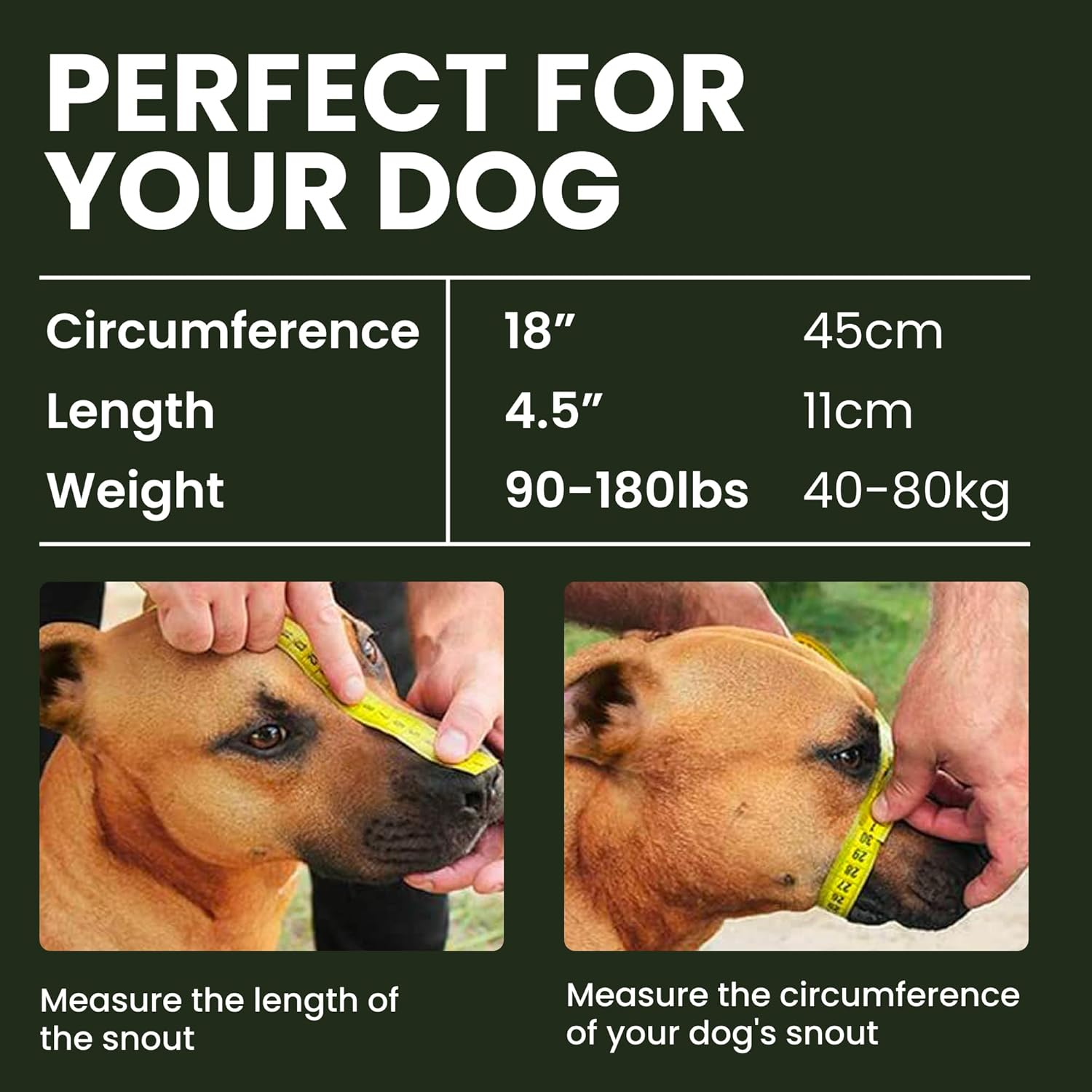 Bronzedog Metal Wire Basket Dog Muzzle Great Dane Mastiff Leather Adjustable Muzzles for Large Dogs (XL) image number 6