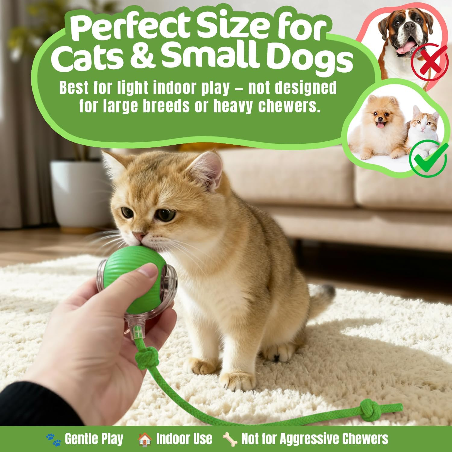 Interactive Cat Toy Ball, Active Smart Rolling Balls for Cat, Electric Toy Balls for Indoor Cats image number 5