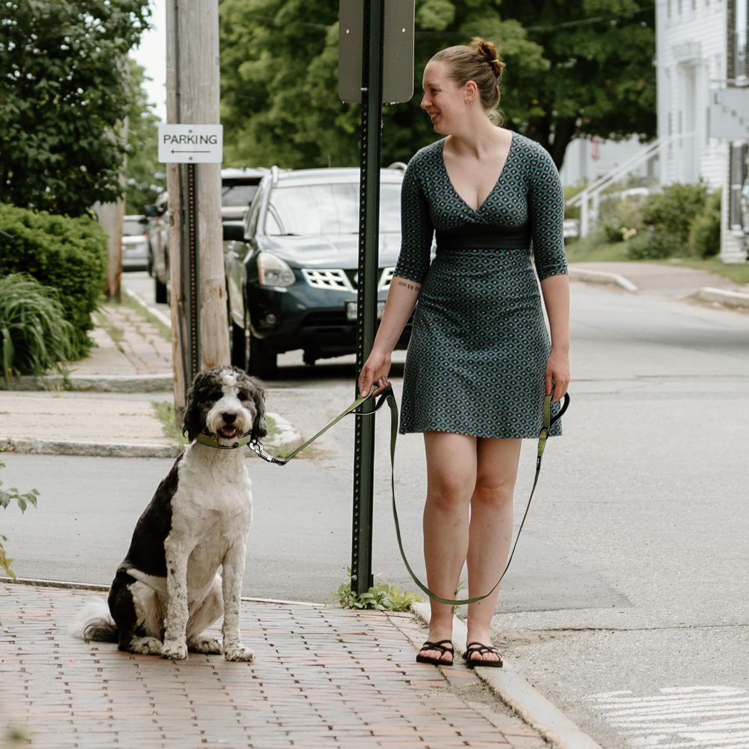 Fida Dog Leash Traffic Padded Two Handles, Advanced Easy Clasp, Heavy Duty Reflective Leashes for Control Safety Training, Walking Lead for Small to Large Dogs, 4 Ft, Green image number 2