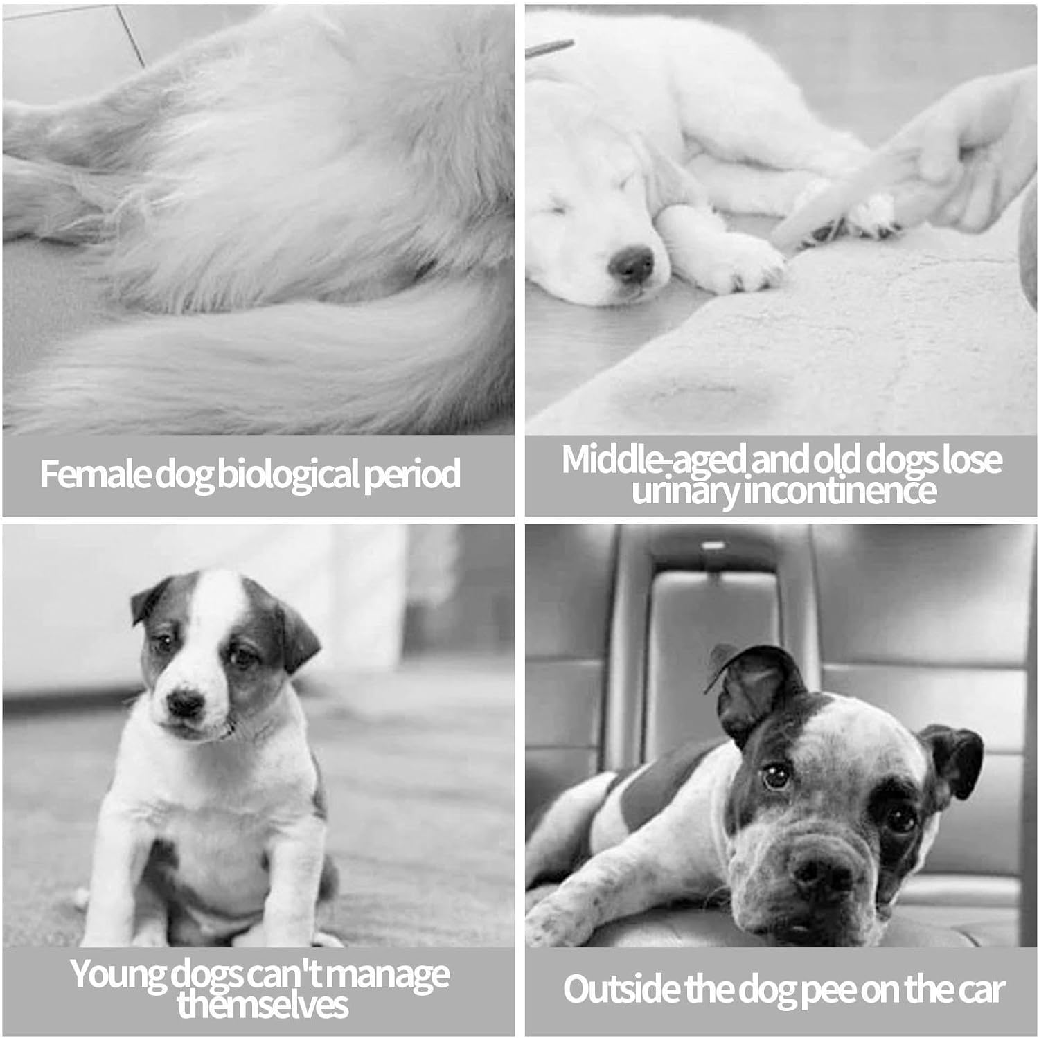 Larfraecy Washable Female Dog Nappies 3Pcs Super Absorbent Puppy Sanitary Wrap,Stylish Strawberry,Watermelon & Kiwi Prints,Comfortable and Adjustable,For Dogs in Heat,Postpartum Care,Travel image number 5