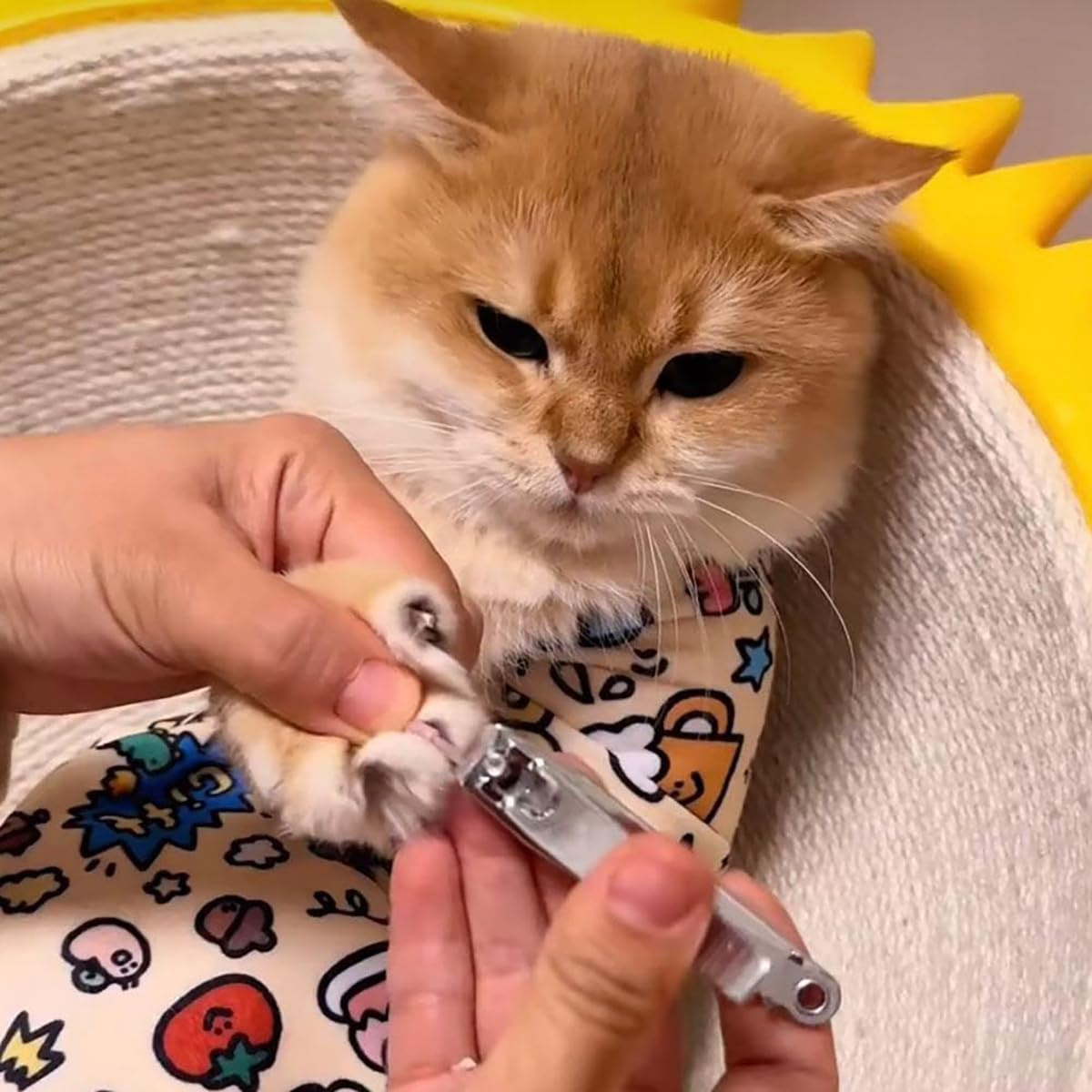 Cat Grooming Wrap, Fabric Wrap for Cats, Cat Wrap for Cutting Nails,Self-Adherent, Anti-Scratch, Anti-Bite, Anti-Escape Calming Wrap for Medicine,Nail Clipping (L: 55 * 55 Cm / 21.7 * 21.7 In) image number 4