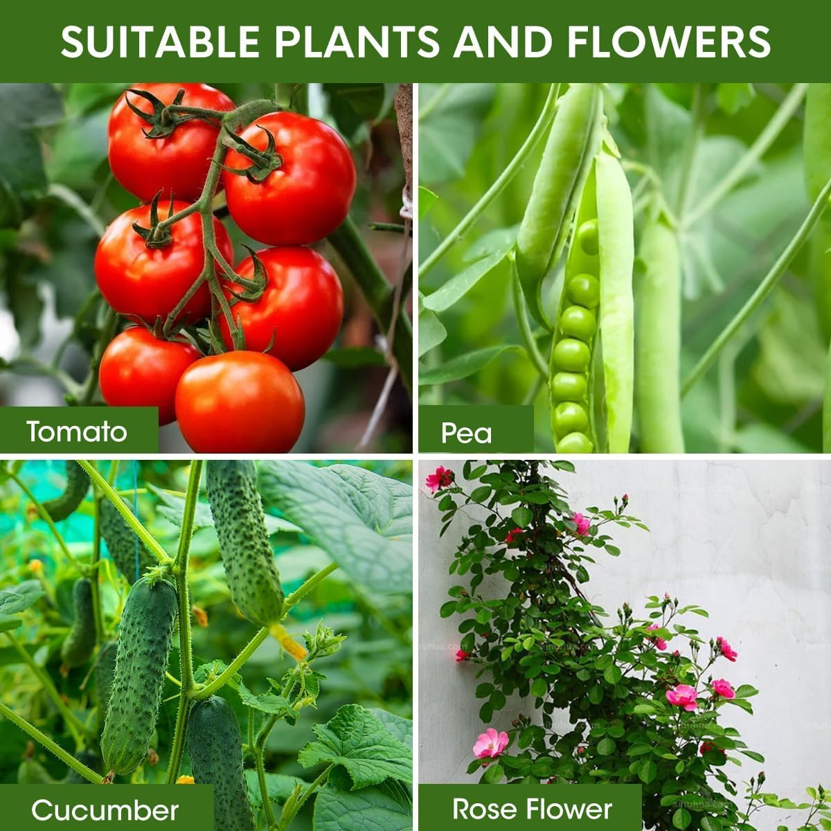 4PCS Tomato Cages for Garden, Tomato Trellis for Raised Garden Bed, 130CM Tall Tomato Cage Plant Support for Pots, Gardening Supplies Trellis for Climbing Plants (High: 130CM) image number 5