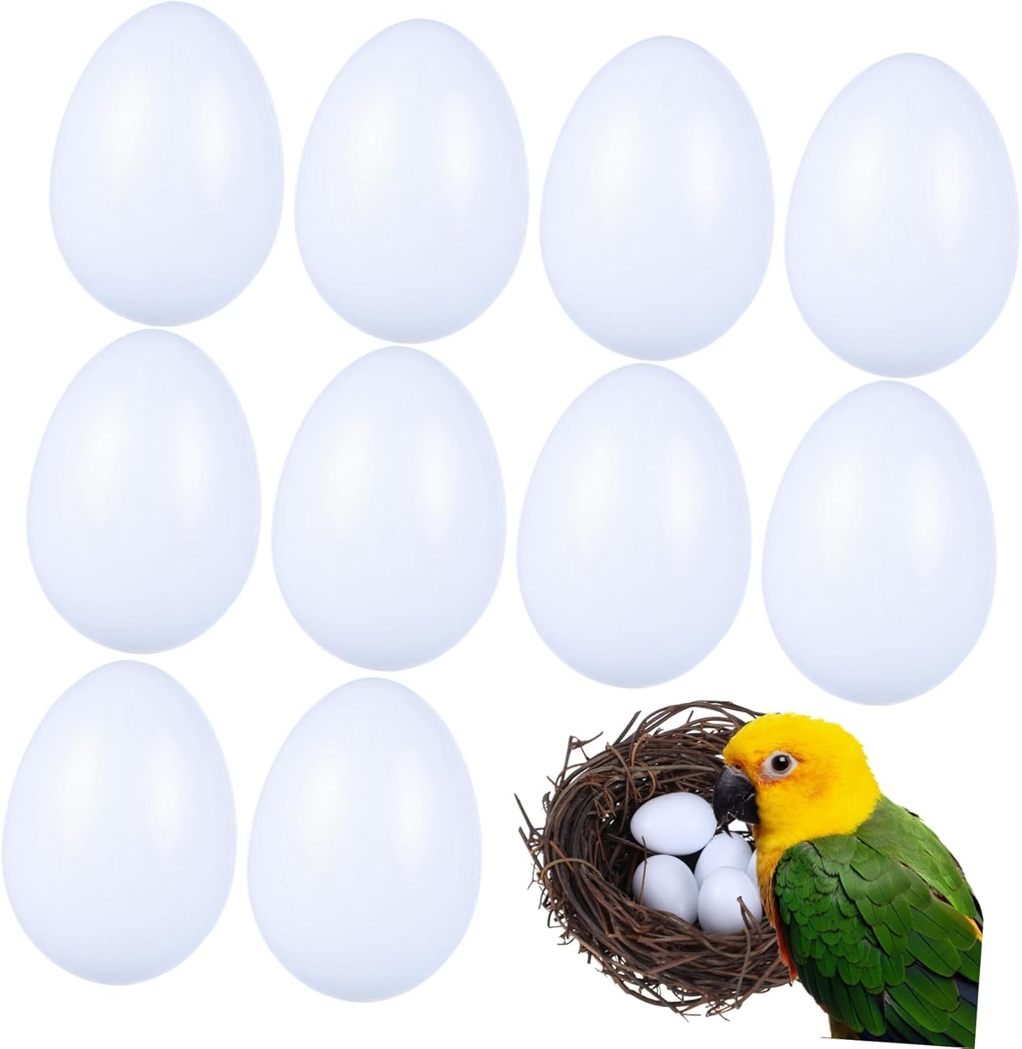 JOINPAYA 10Pcs Realistic Fake Bird Eggs for Cockatiel Breeding Training Solid Weight Imitation Naturalistic Design Proper for Home Decor and Bird Care image number 1