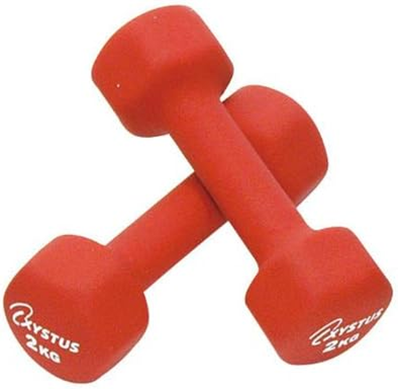 TOEI LIGHT XYSTUS Rubber Coated Dumbbells, Set of 2, Rubber Surface Coating