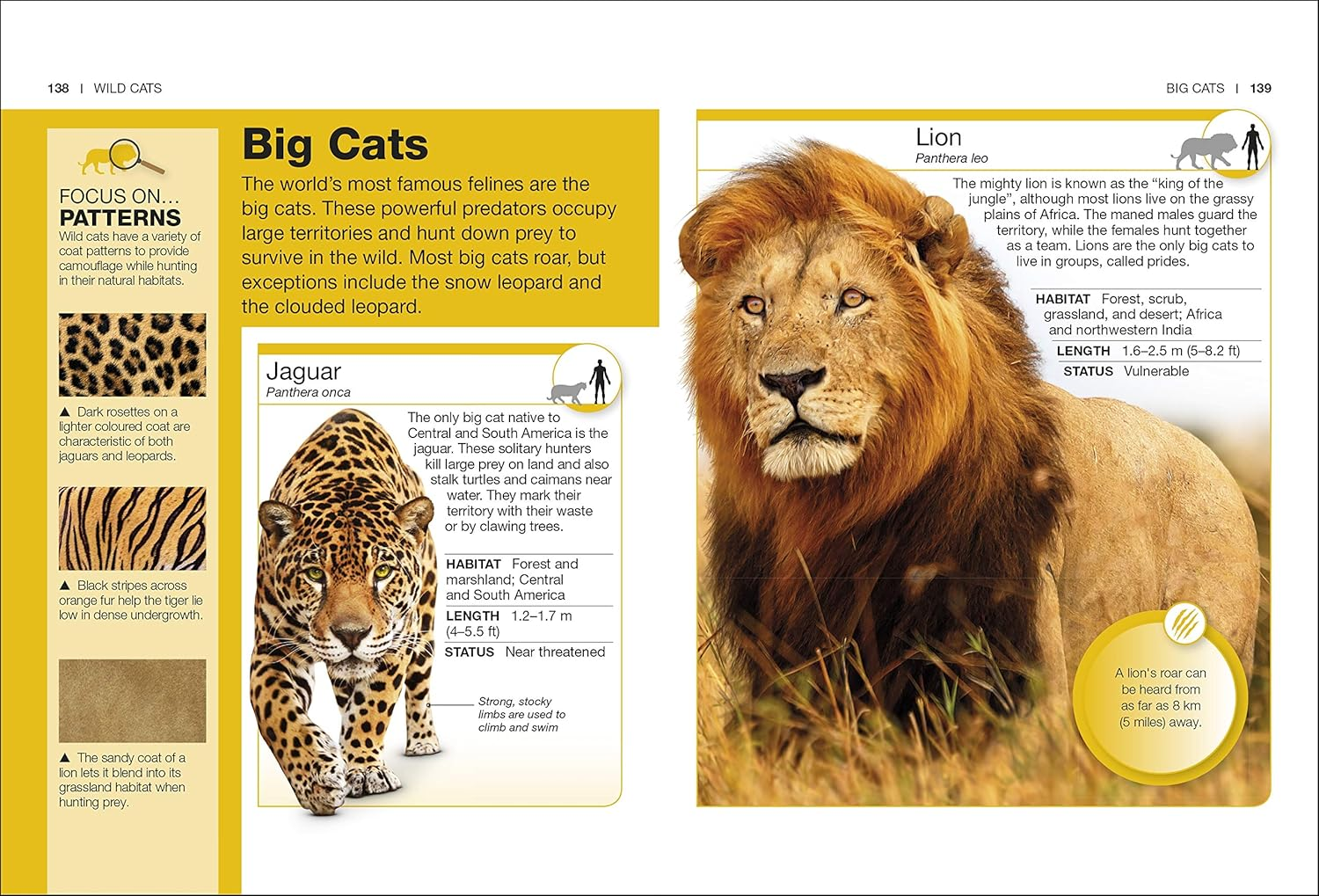 Cats: Facts at Your Fingertips image number 5