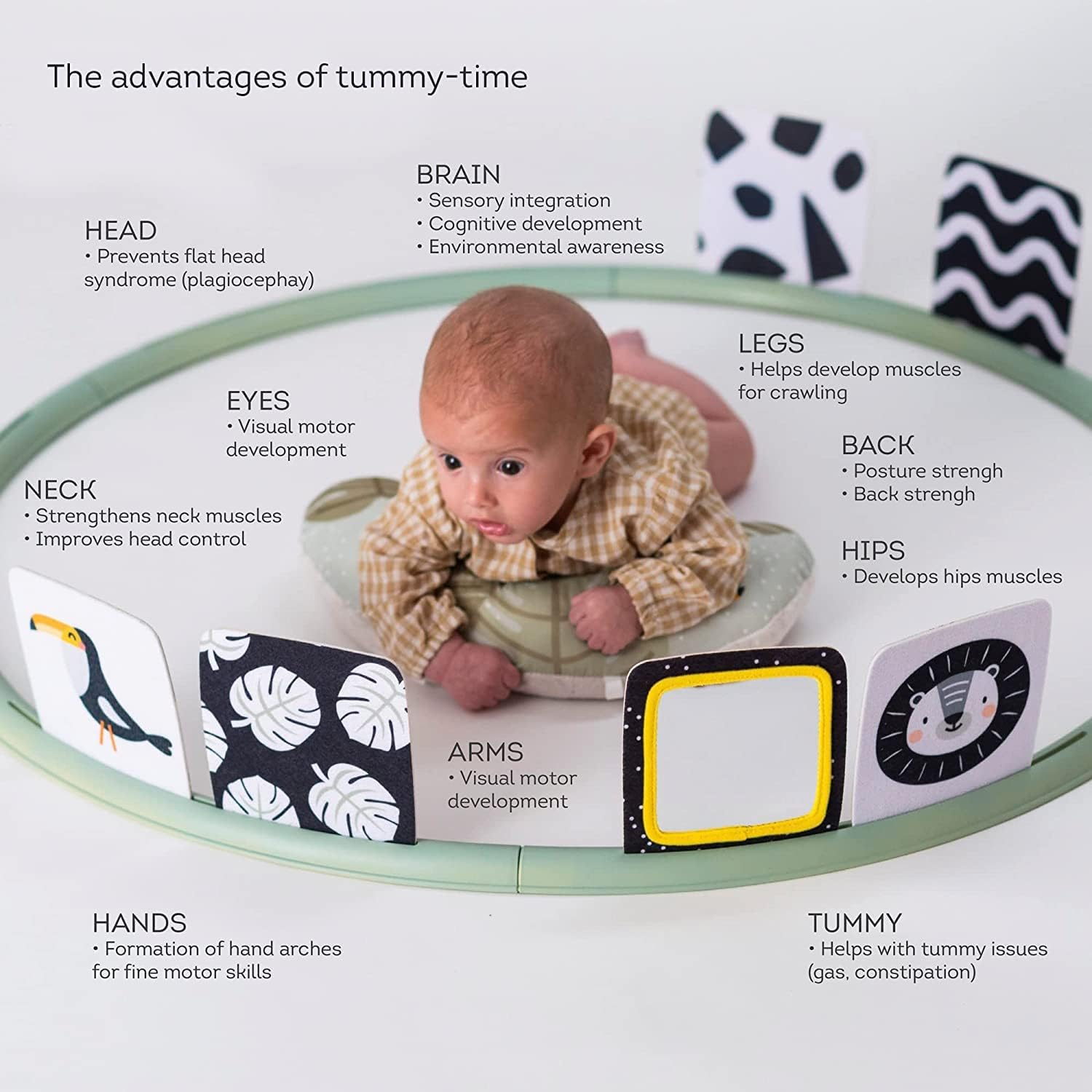 Taf Toys Tummy Time Trainer for Newborns & Babies, Developmental Activity Center with Detachable Pillow & Toys Encourage Baby&rsquo;S Senses Development, Fine & Gross Motor Skills & Eye-Hand Coordination. image number 4