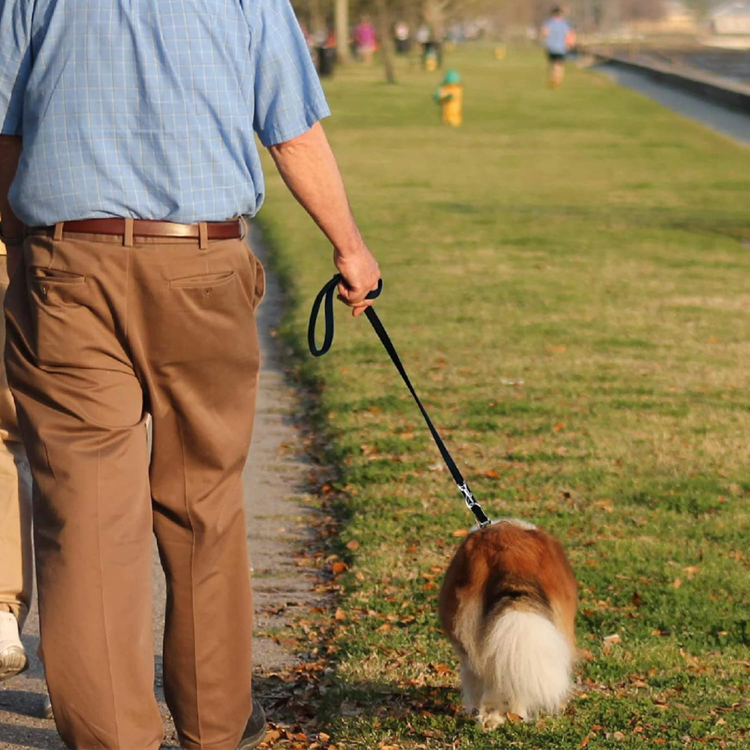 Dog Training Double Ended Leads : 2M Hands Free Adjustable Pet Training Leash for Running Walking - Retractable Multifunctional Strong Nylon Puppy Lead Rope for Small Medium Dogs