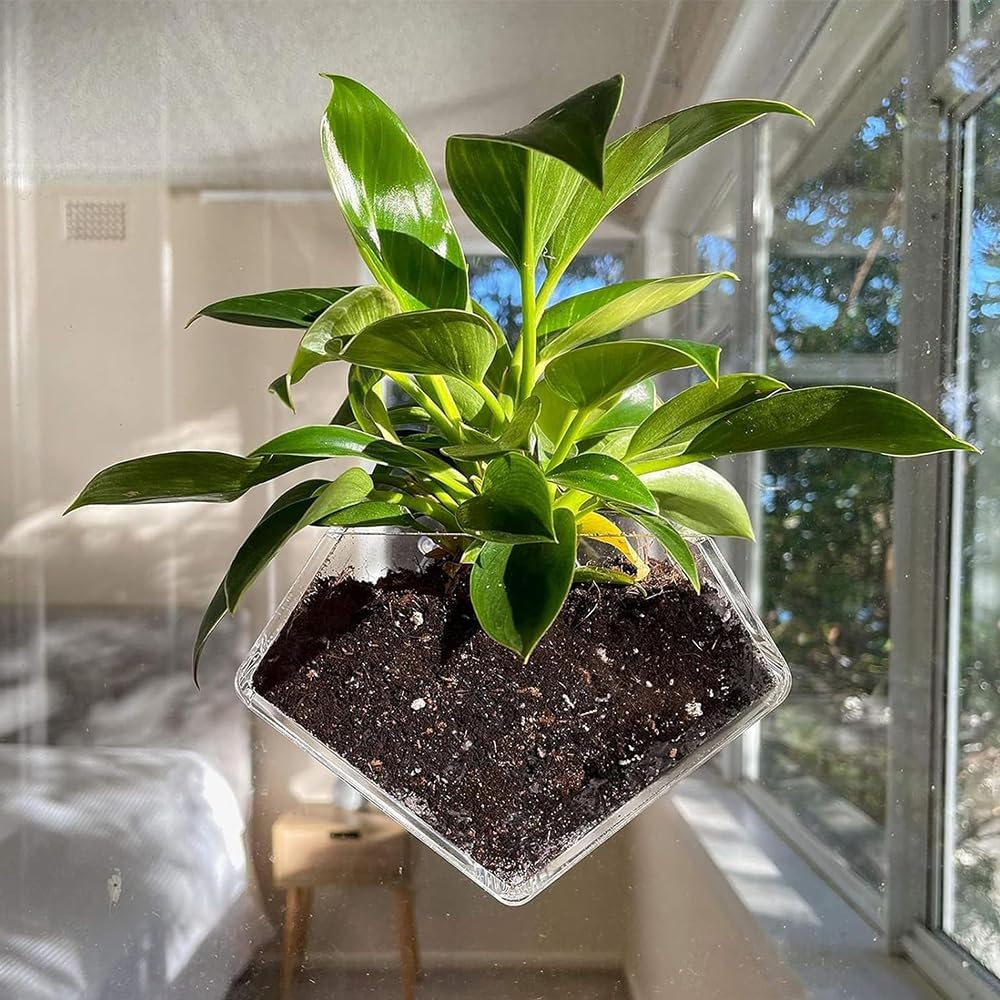 NYGHMY 1 Pcs Diamond Shape Acrylic Window Planter - Transparent Suction Cup Pot for Succulents, Herbs, and Indoor Gardens image number 4