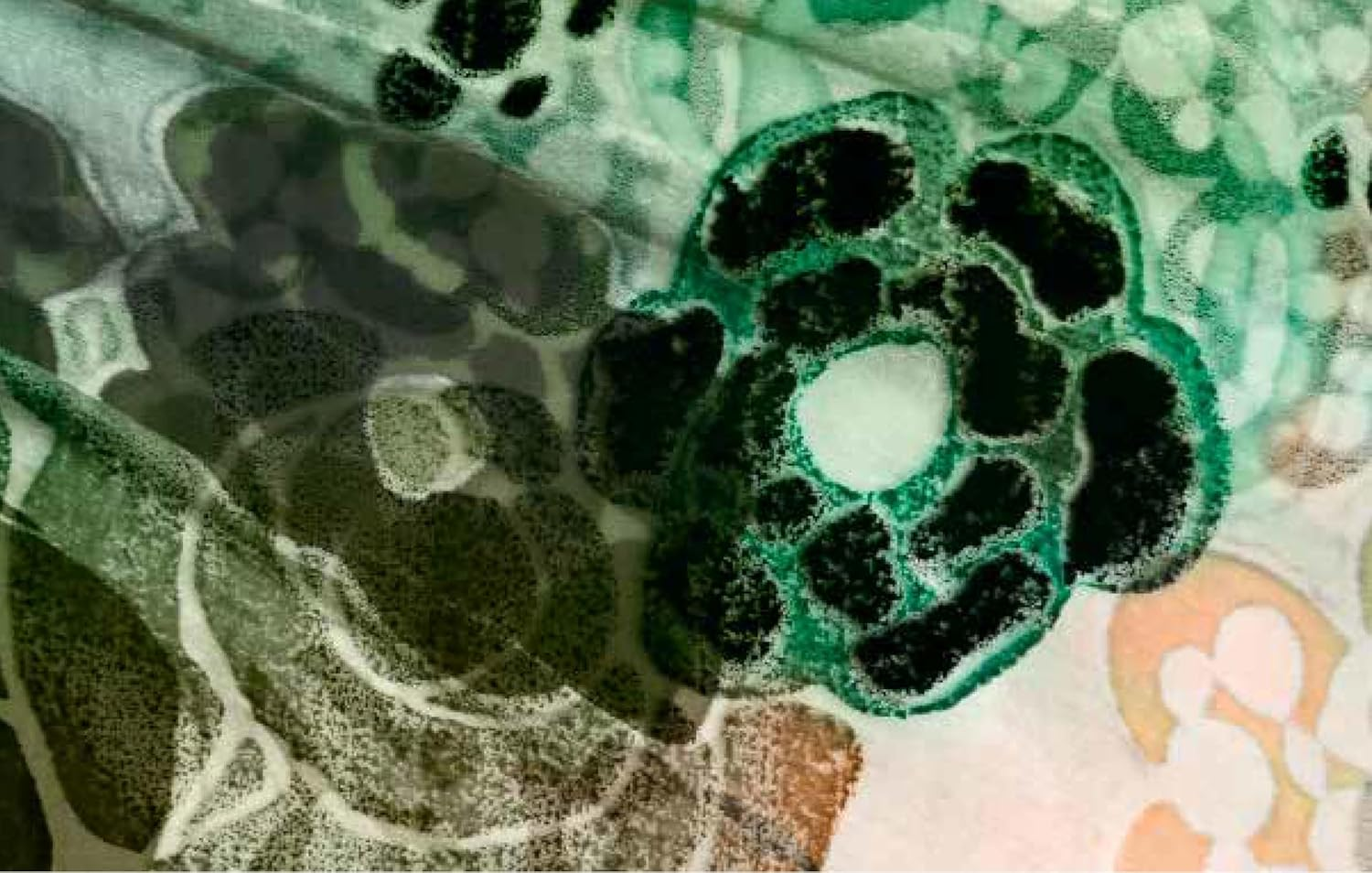 The Flowers of Yves Saint Laurent image number 3