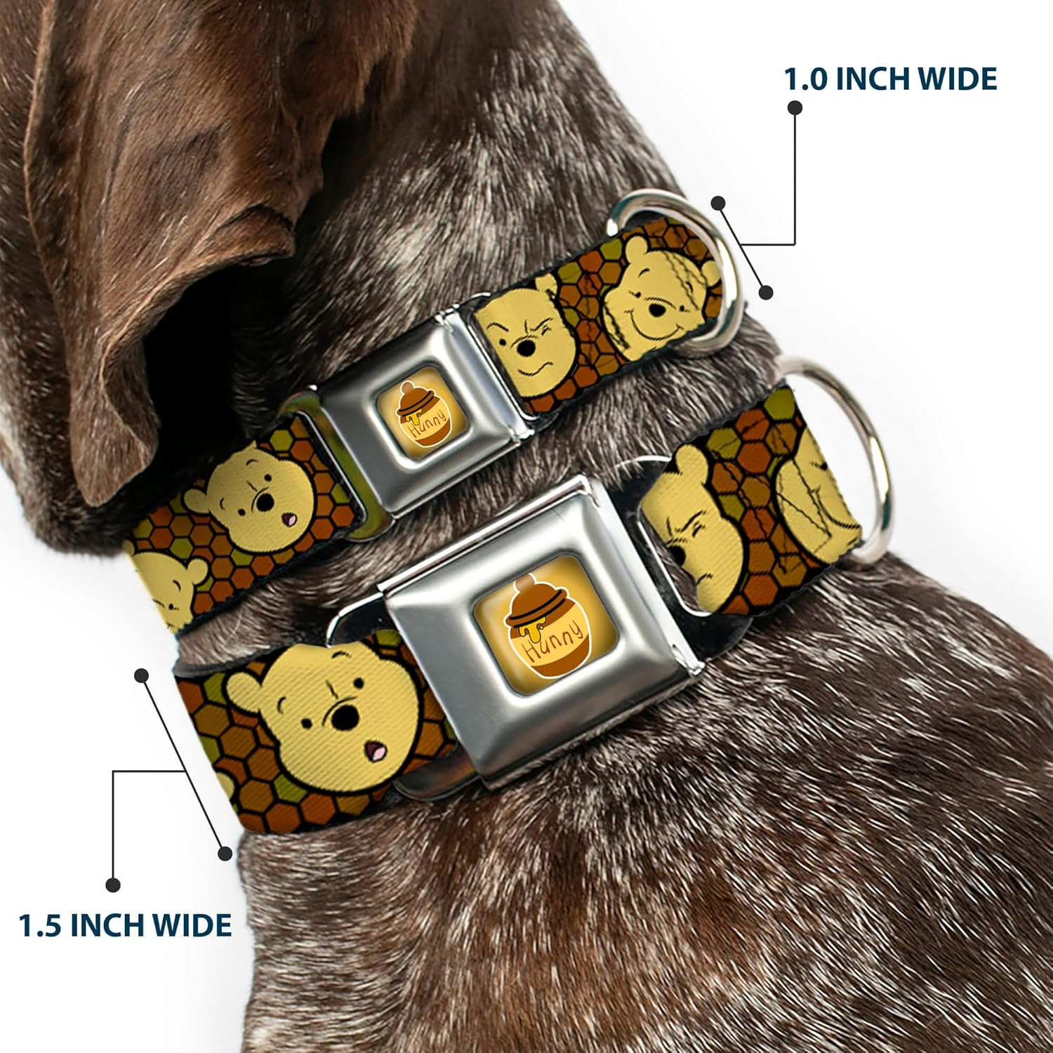 Buckle-Down DC-WDY273-L DYHP Hunny Pot Full Color Black/Browns Dog Collar, Large/15-26 image number 6