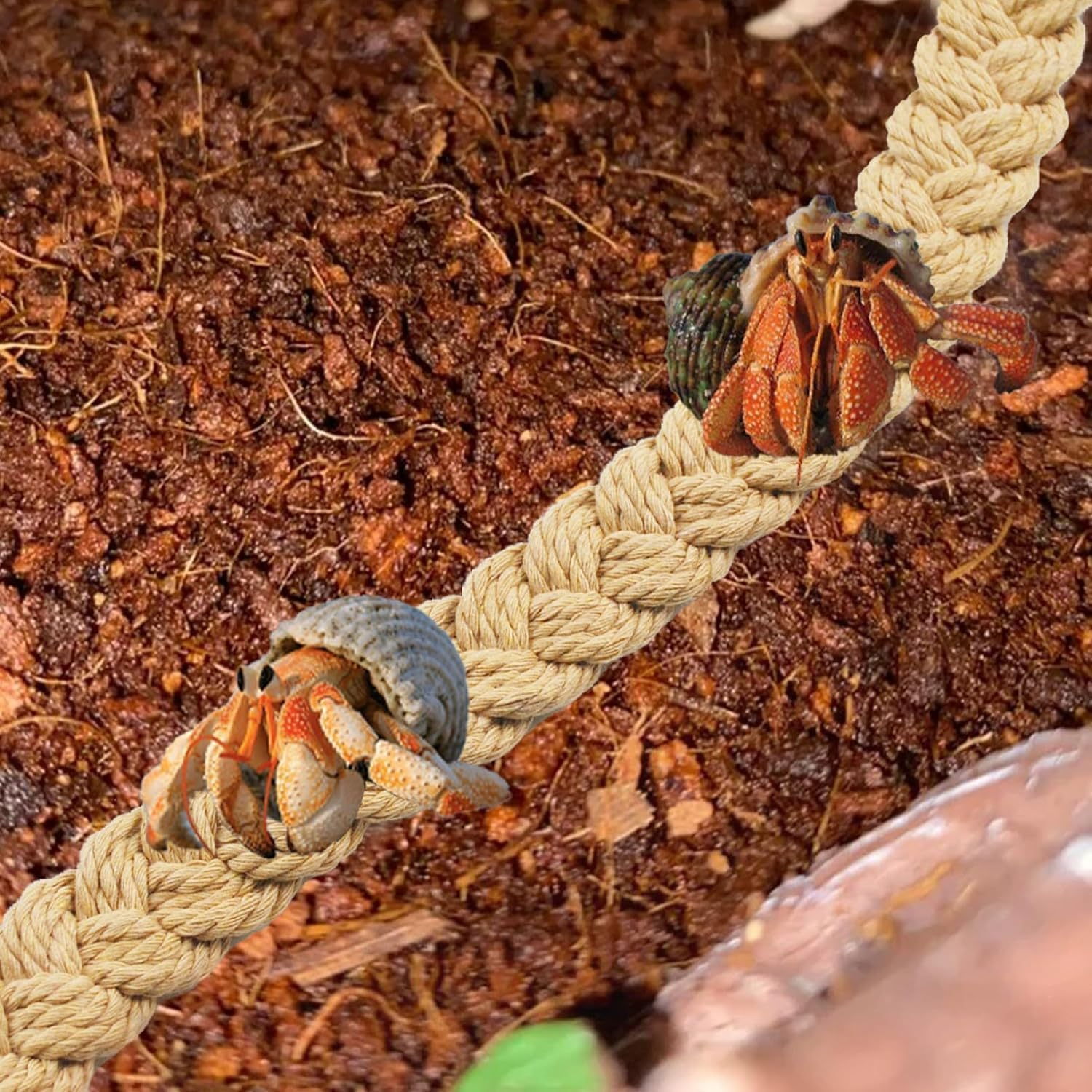 1PCS Hermit Crab Climbing Toy &ndash; Natural Jute Rope Ladder with Hooks, Reptile Terrarium Accessory for Hermit Crabs, Geckos, Lizards & Snakes, Tank Habitat Decor image number 4