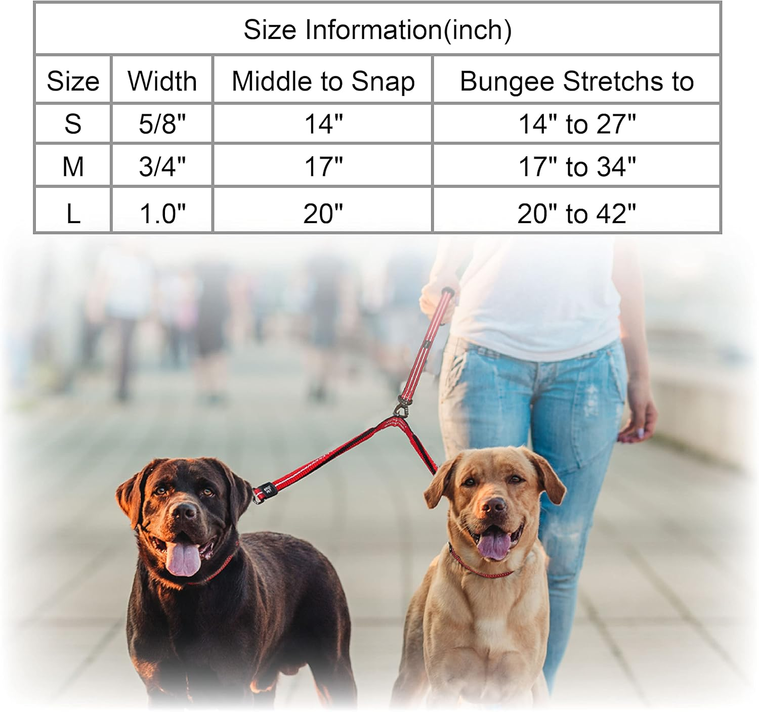 Kruz Double Dog Coupler - KZVX2-15S - Tangle Free Dog Walking and Training Dual Extension Coupler - Comfortable, Shock Absorbing - Reflective Bungee Coupler for Two Dogs - Blue - 5/8" X 14" image number 5
