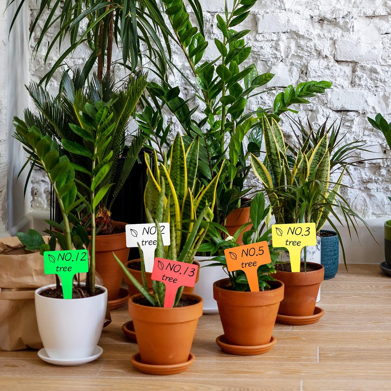 100Pcs T-Type Plant Tags，Waterproof Thick Plastic Plant Makers，6 X10Cm Nursery Garden Labels(Multicolor) (SZ-BC610T) image number 6