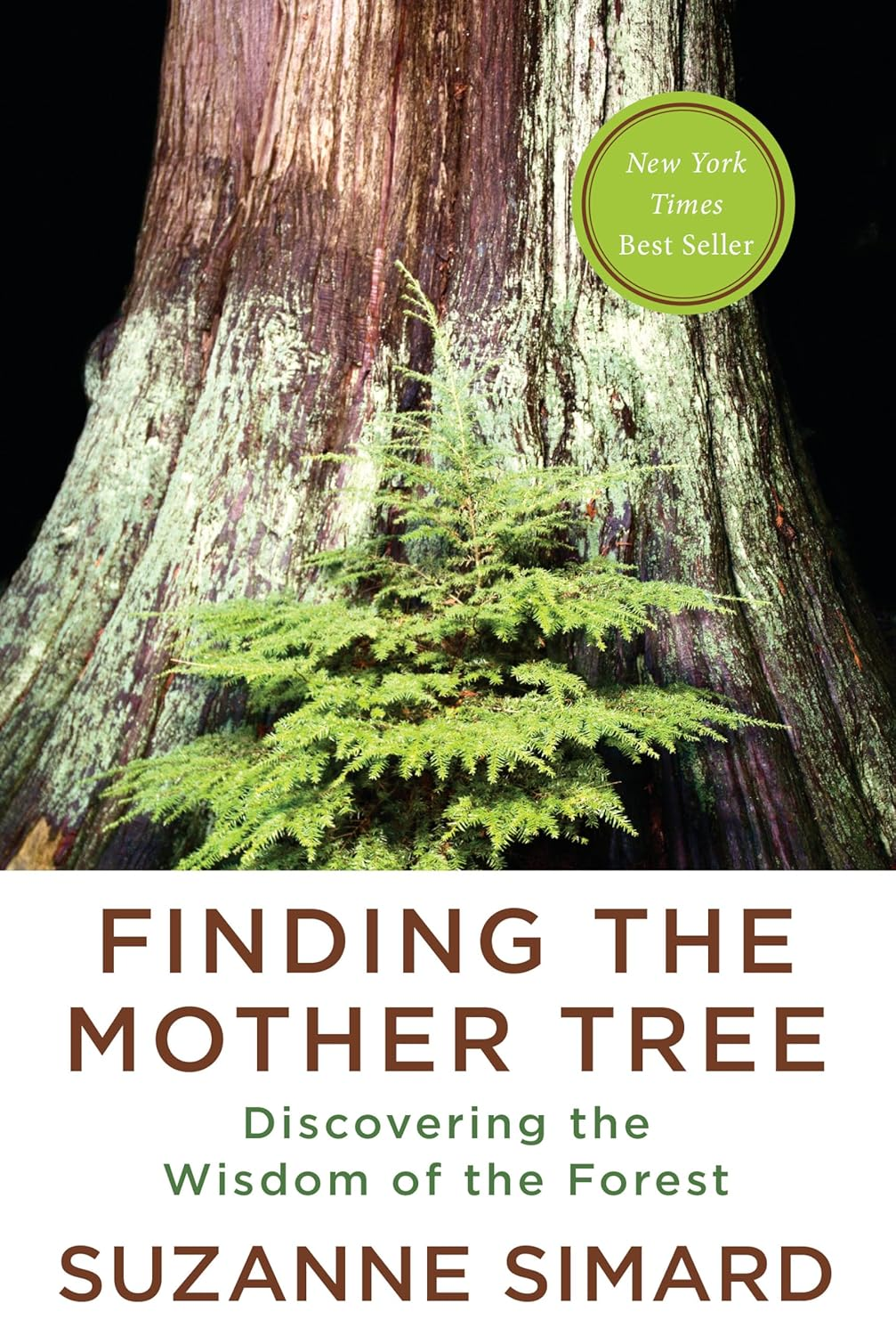 Finding the Mother Tree: Uncovering the Wisdom and Intelligence of the Forest