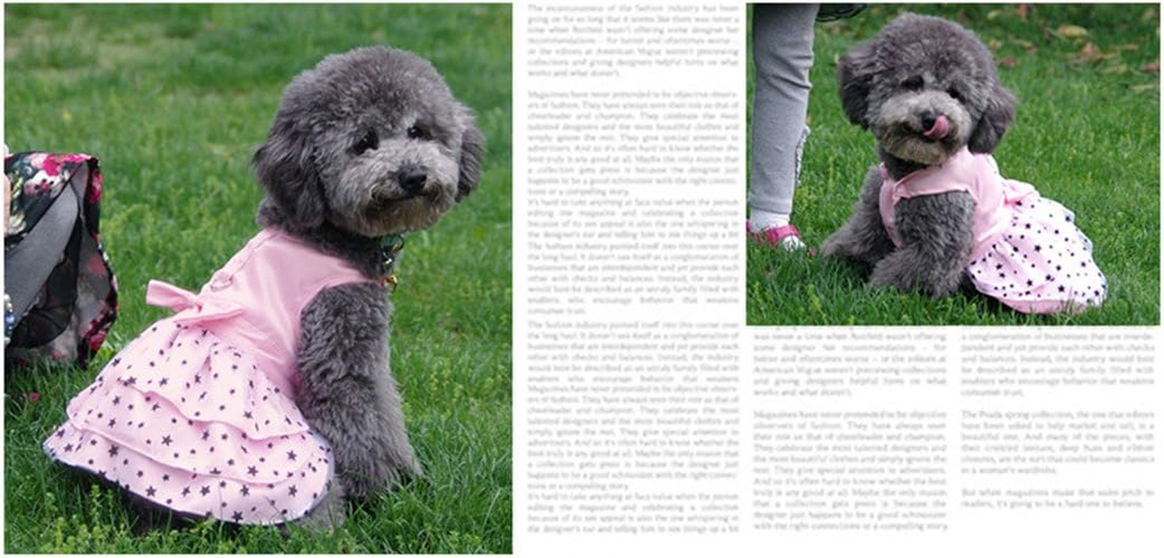 Hdwk&Hped Dog Dress with Leash Ring, Princess Multi-Layer Pleated Skirt Pentagram Bow Pet Dress for Small Dog Puppy Cat Pink #6 image number 2