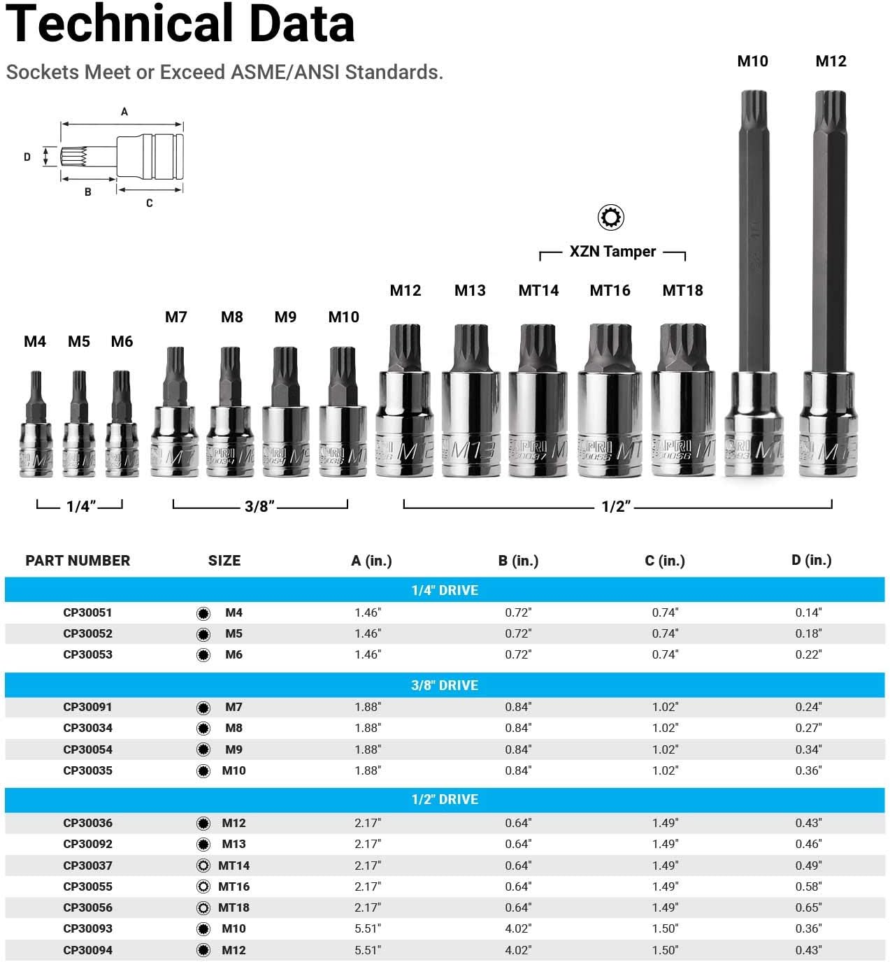 Capri Tools XZN Triple Square Bit Socket Set, 10-Piece (XZN Bit Set/Master) image number 6