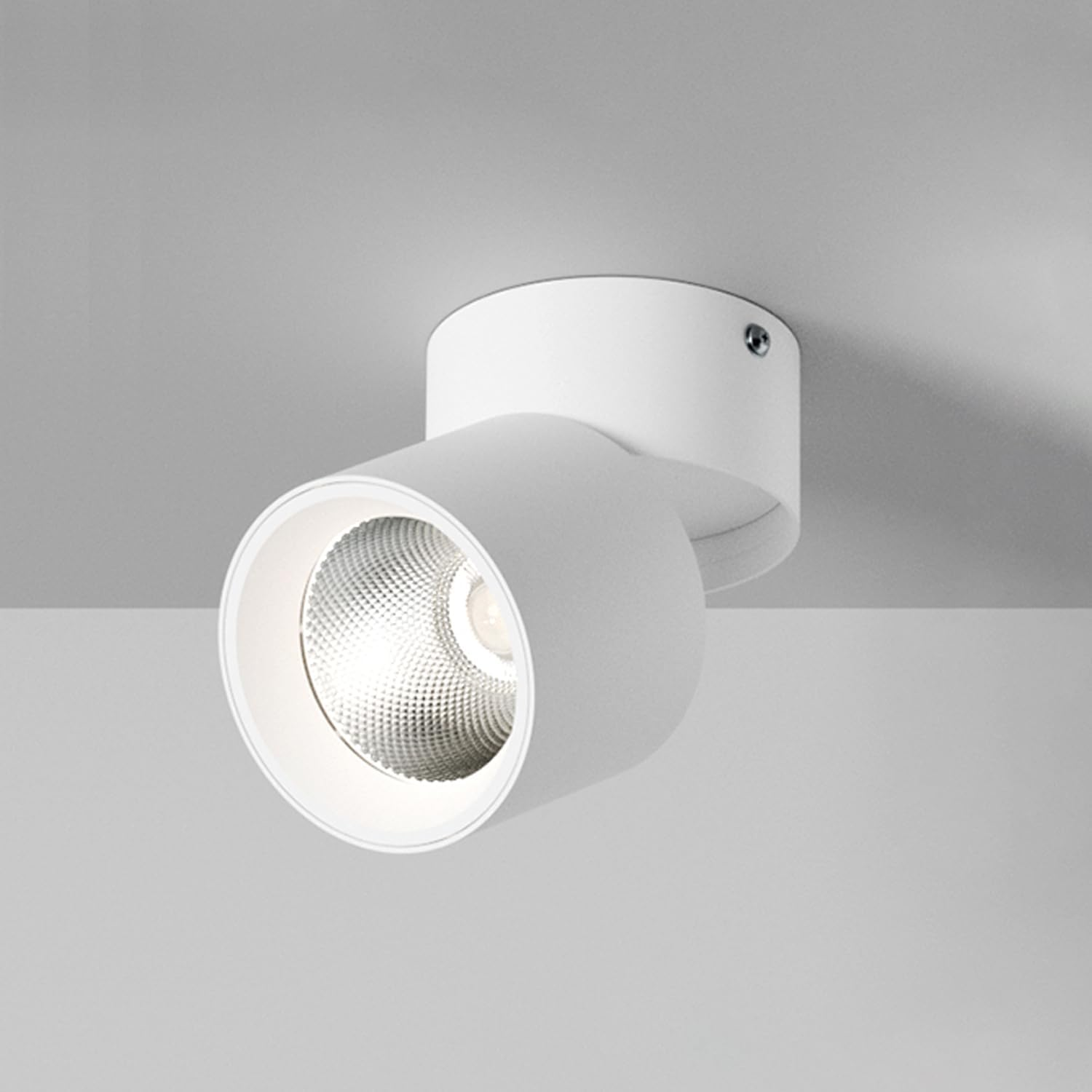 LED Flush Mount Ceiling Spot Light 10W 3000K Warm White Adjustable Tilt Angle Ceiling Light Fixture Indoor White Finish for Picture Art Wall Shop