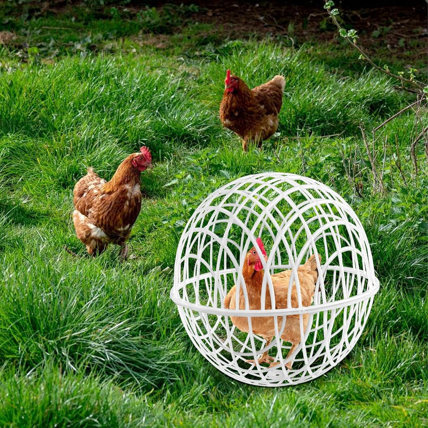 Chicken Cages for Outside, Movable Chicken Cage Ball | Small Animal Outdoor Pens Hutches for Farm Backyard Exercise Keeping Grazing Outdoor Housing Roaming Yard image number 4