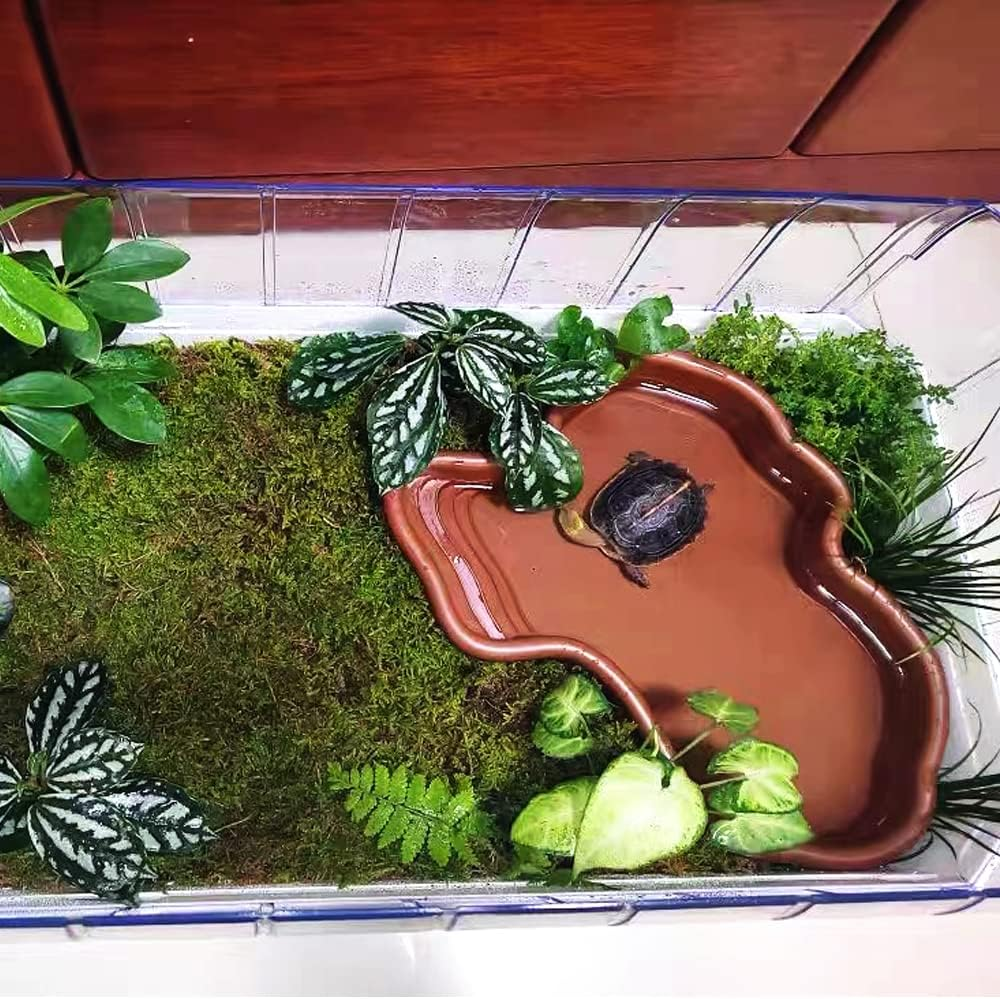 Flushbay Extra Large Reptile Bathing Pool Reptile Feeding Dish Water Bowl with Ramp Aquarium Ornament for Gecko, Snake, Turtle, Bearded Dragon, Lizard Bath (Brown) - Brown image number 4