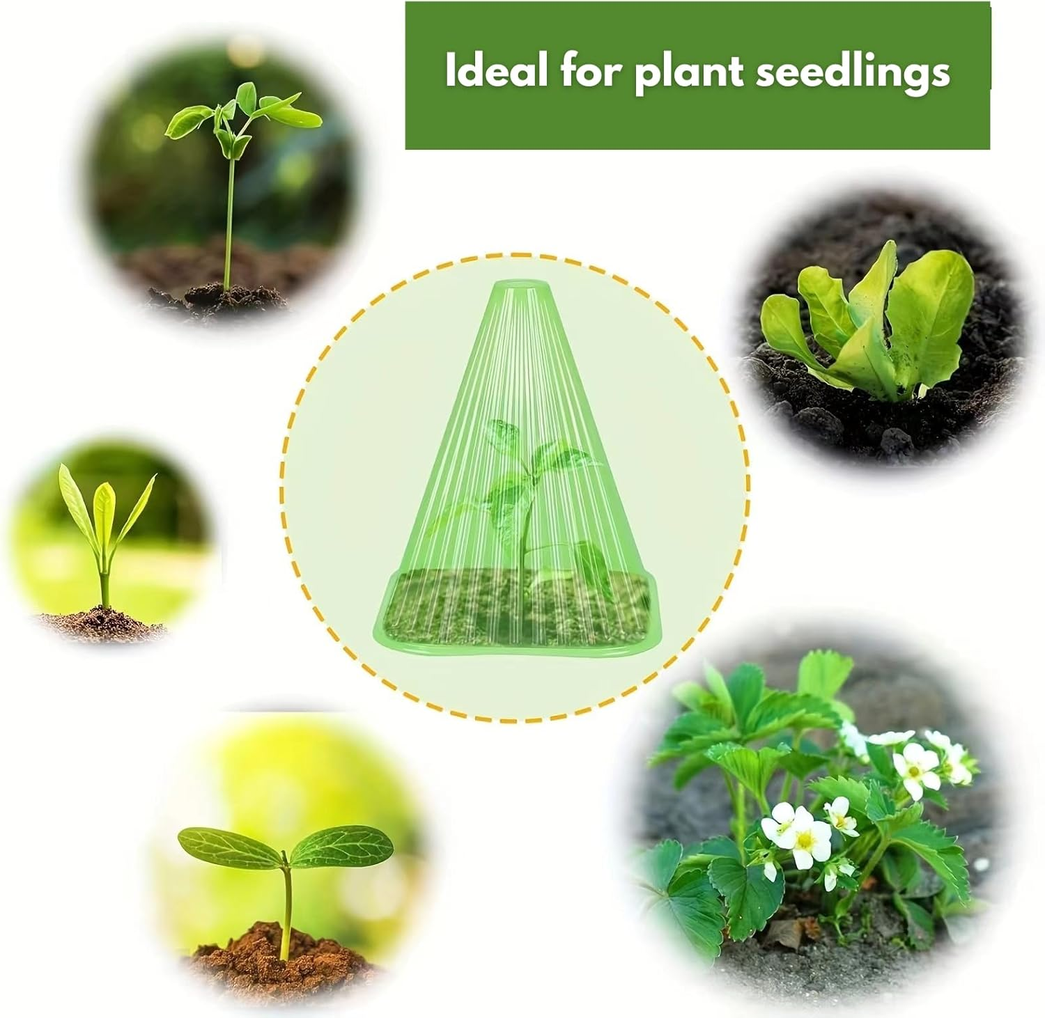 Verderoot 30 Pack Garden Cloches for Plants, Green Frost Protection Dome Covers with Vent Holes &ndash; Ideal for Seedlings and Young Plants image number 3