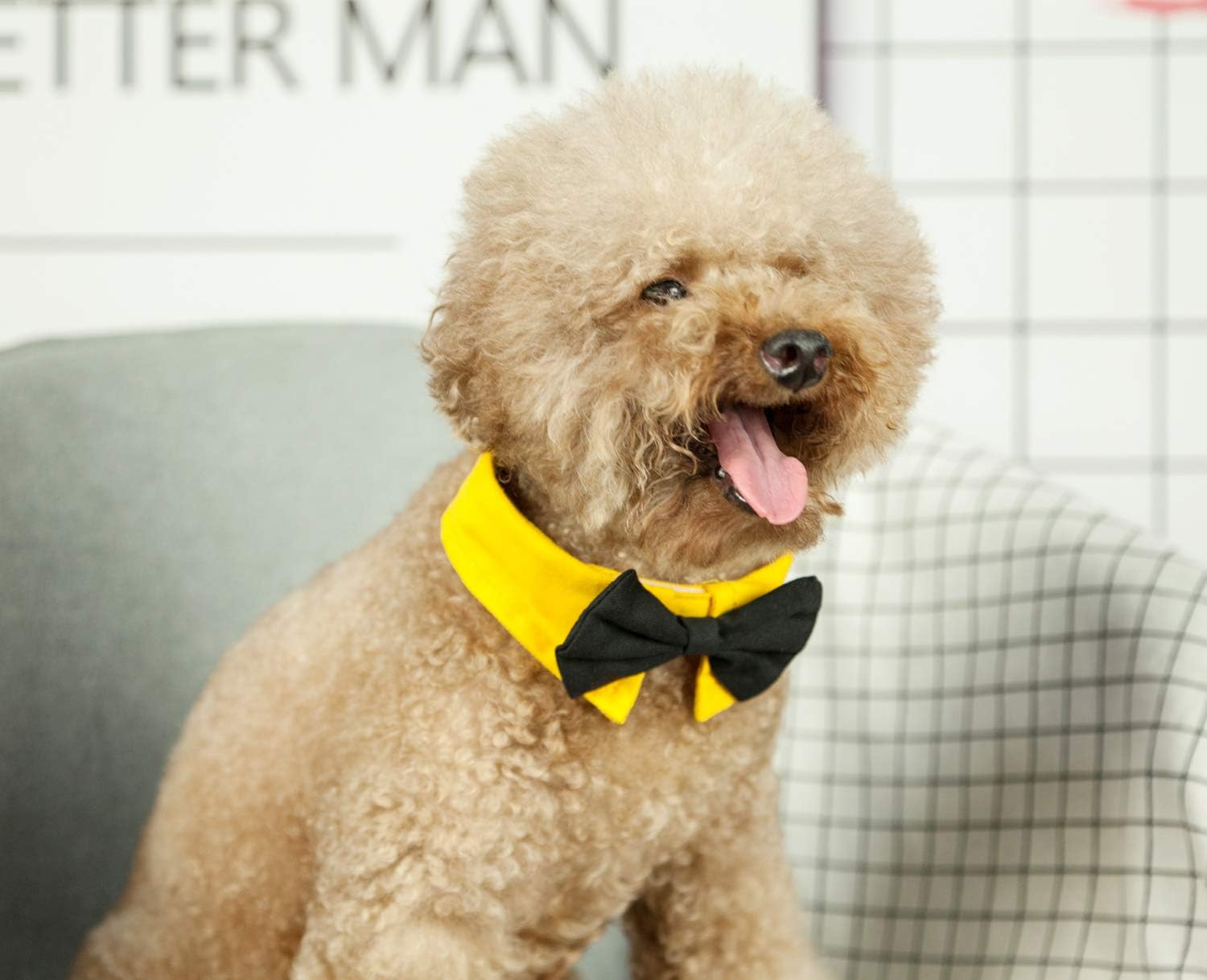 ZTON Handcrafted Adjustable Formal Pet Bowtie Collar Neck Tie for Dogs & Cats (S, Black 1) image number 7