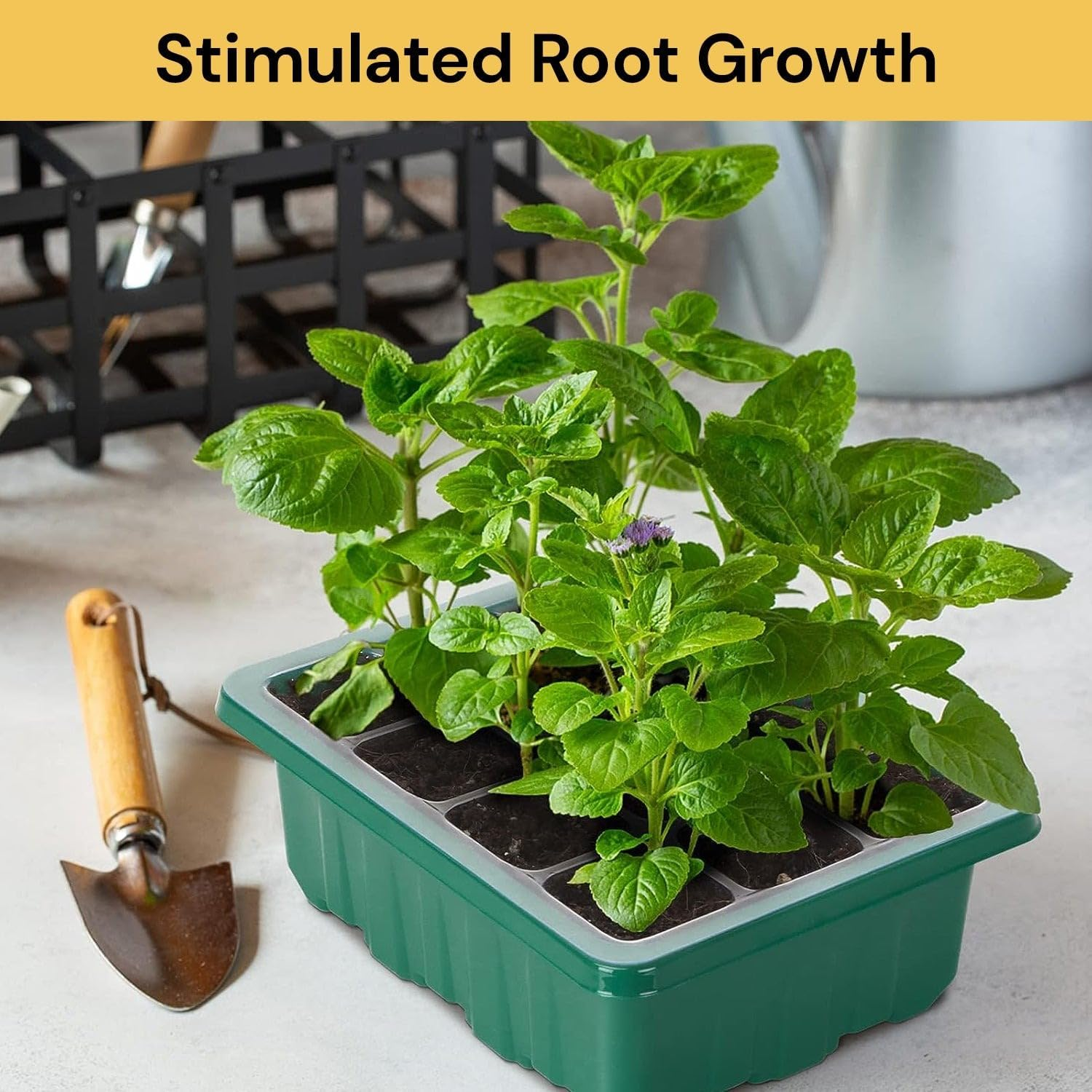 EZONEDEAL 13 Pack Seed Starter Tray 156 Cell Plant Starter Kit Growing Trays Seed Germination Kit with Humidity Dome and Base for Greenhouse Grow Wheatgrass Hydroponic Garden Tools (12 Cells per Tray) image number 5