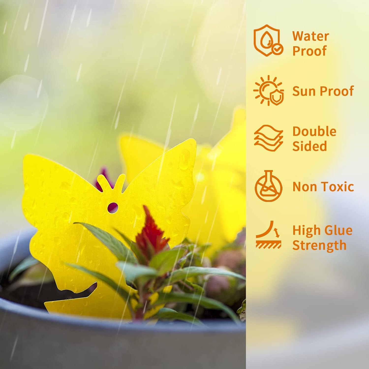 Gnat Trap Sticky Traps Dual Sided Yellow with Cable Ties Sticky Fly Trap for Mosquitos Fungus Gnats Flying Insects Ect Indoor and Outdoor Protect the Plant Non Toxic and Odorless 30Pcs Gnat Trap image number 3