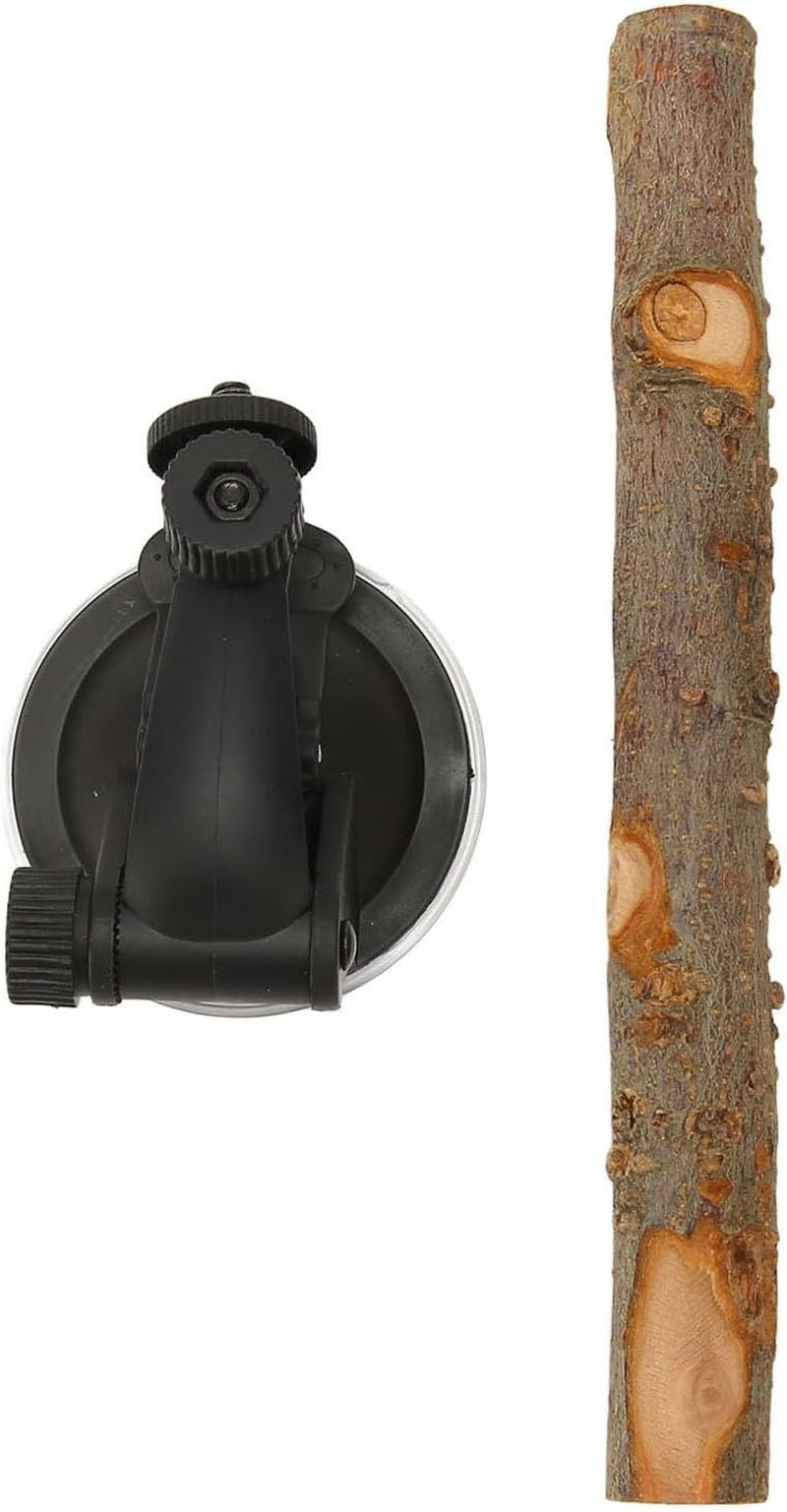 Bird Standing Stick, Sturdy Wood Bird Perch Interactive Prevent Slip Safe with Suction Cups for Parakeets (15CM)