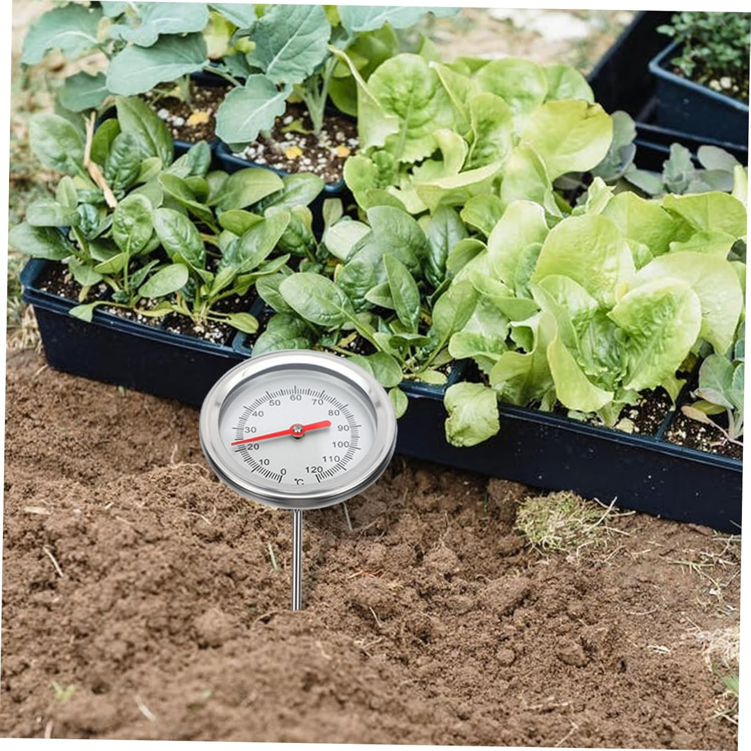 Mipcase Stainless Steel Soil Thermometer Probe Accurate Compost Temperature Gauge for Gardening and Greenhouse Planting C- C Sensor Tool image number 3