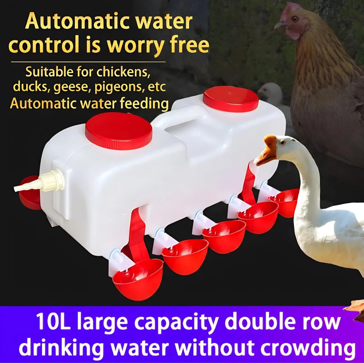 Automatic Chicken Waterer, Neatly Arranged Poultry Waterer, Large Capacity Chicken Waterer Cups with 10Pcs Bowls for Duck Goose image number 3