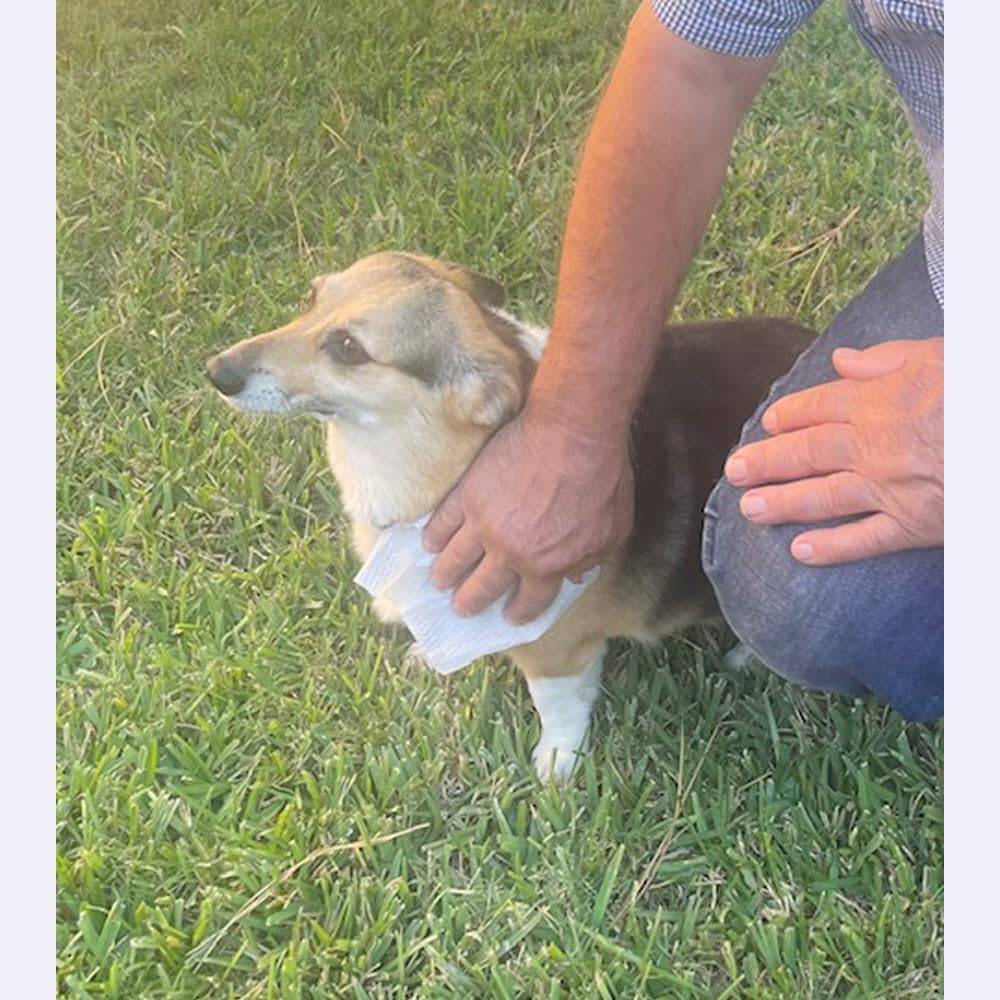 Insect Repellent,Towellette Wipes DEET Free 20% Picaridin (10 Pack) Tell Your Bye Bye Skeeter Story image number 6