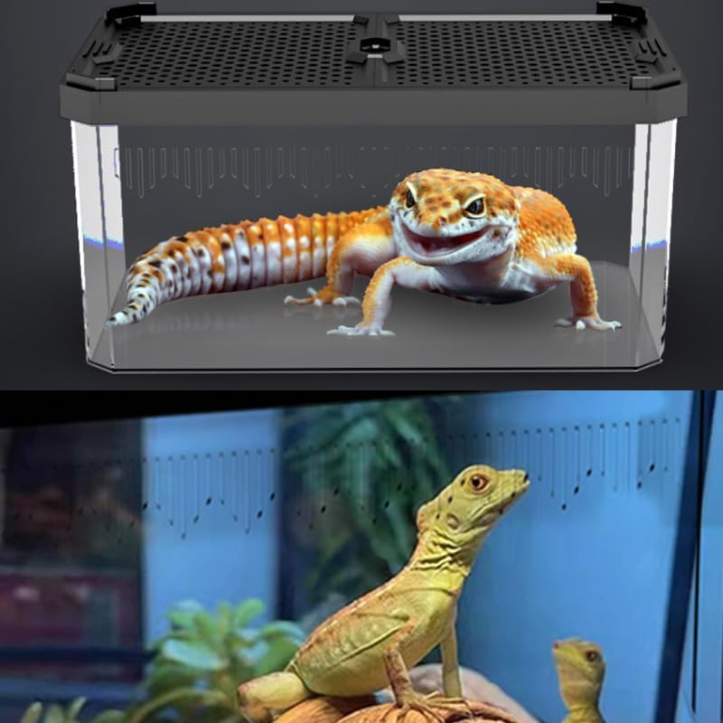 Reptile Acrylic Feeding Box with Sliding Door,19X12.5X9.3Cm Small Reptile Habitat,Lizard Terrarium,Breeding Box for Bearded Dragons, Sliding Cover Keeper for Snakes, Geckos,Reptiles Enclosure (M)