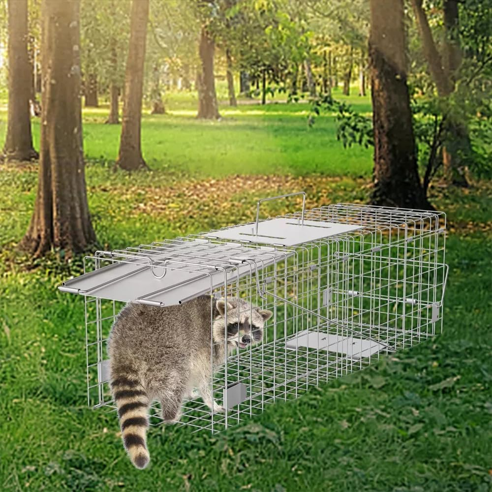 Animal Trap Cage,Outdoor Rescue Cat Carrier,Heavy Duty Squirrel Trap,No-Kill Trapping Kit,Small Animals Cages,For Stray Cats, Rabbits, Raccoons, Skunks