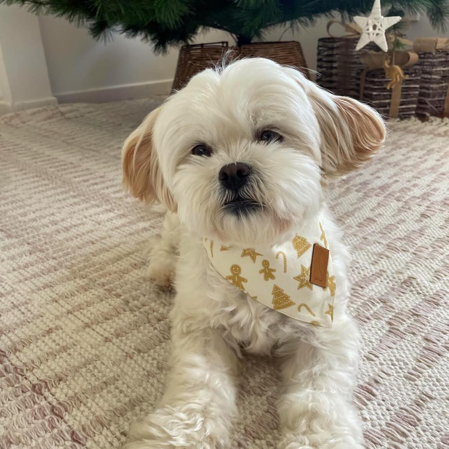 Christmas Dog Bandanas, 2 Pack, Gingerbread and Bauble Designs, Cotton, Adjustable for Small to Large Dogs (Medium) image number 4