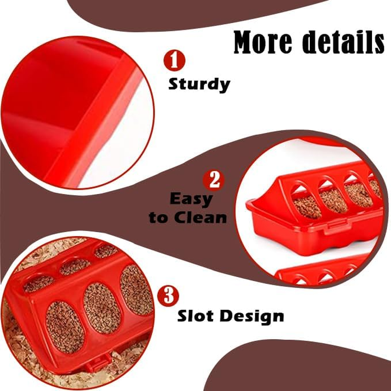 Poultry Feeding & Watering System with Comfort Perch, Durable Plastic Combo for Chicks/Ducks/Quail | Auto-Dispensing Troughs & Anti-Drown Design image number 5