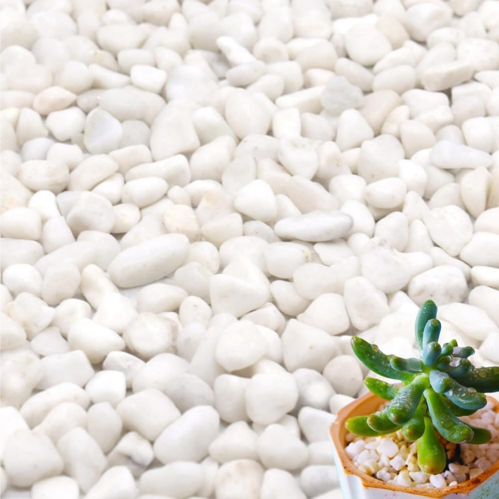 Naisfei White Pebble, 1-3Cm White Gravel for Indoor Plants, River Rocks Pebbles for Plants, Home DIY Decor, Aquarium Gravel, Vase Fillers, Fairy Garden, Landscaping Outdoor Stones