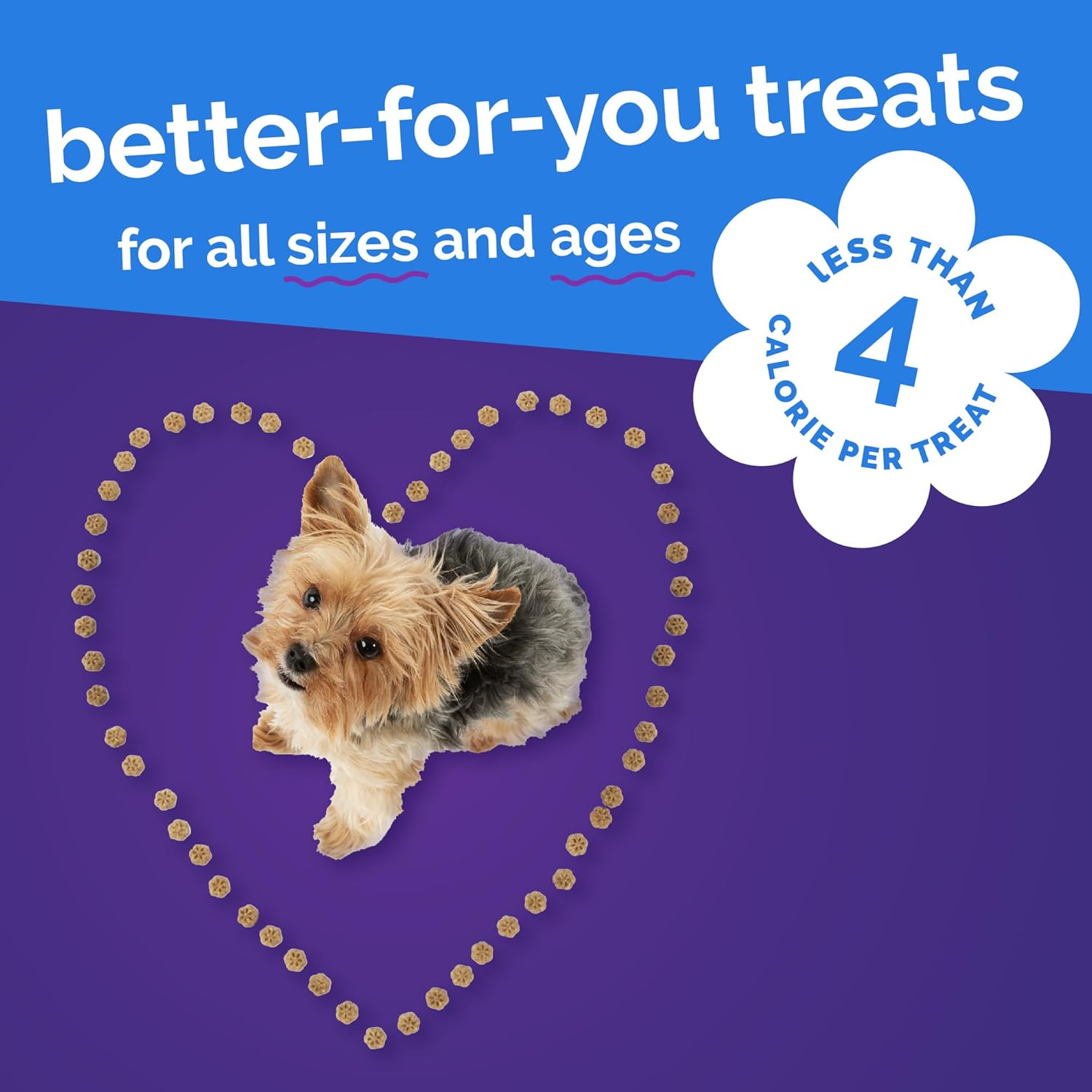 Fruitables Skinny Mini Dog Treats, Healthy Pumpkin Treat for Dogs, Low Calorie & Delicious, Puppy Training, Free of Wheat, Corn and Soy, Made in the USA, Pumpkin and Berry Flavor, 5Oz image number 4