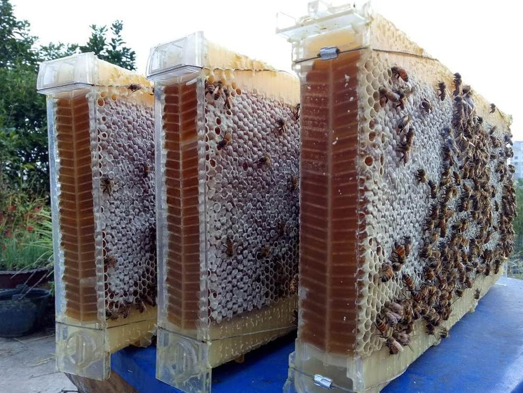 Auto Beehive Frame Beehive Kit, with 7Pcs Food Grade Auto Super Box Plastic Foundations, Super Box, Brood Box (No Brood Frames), 1Pcs Key, Suitable Beekeeper Starter(Unassembled) image number 2