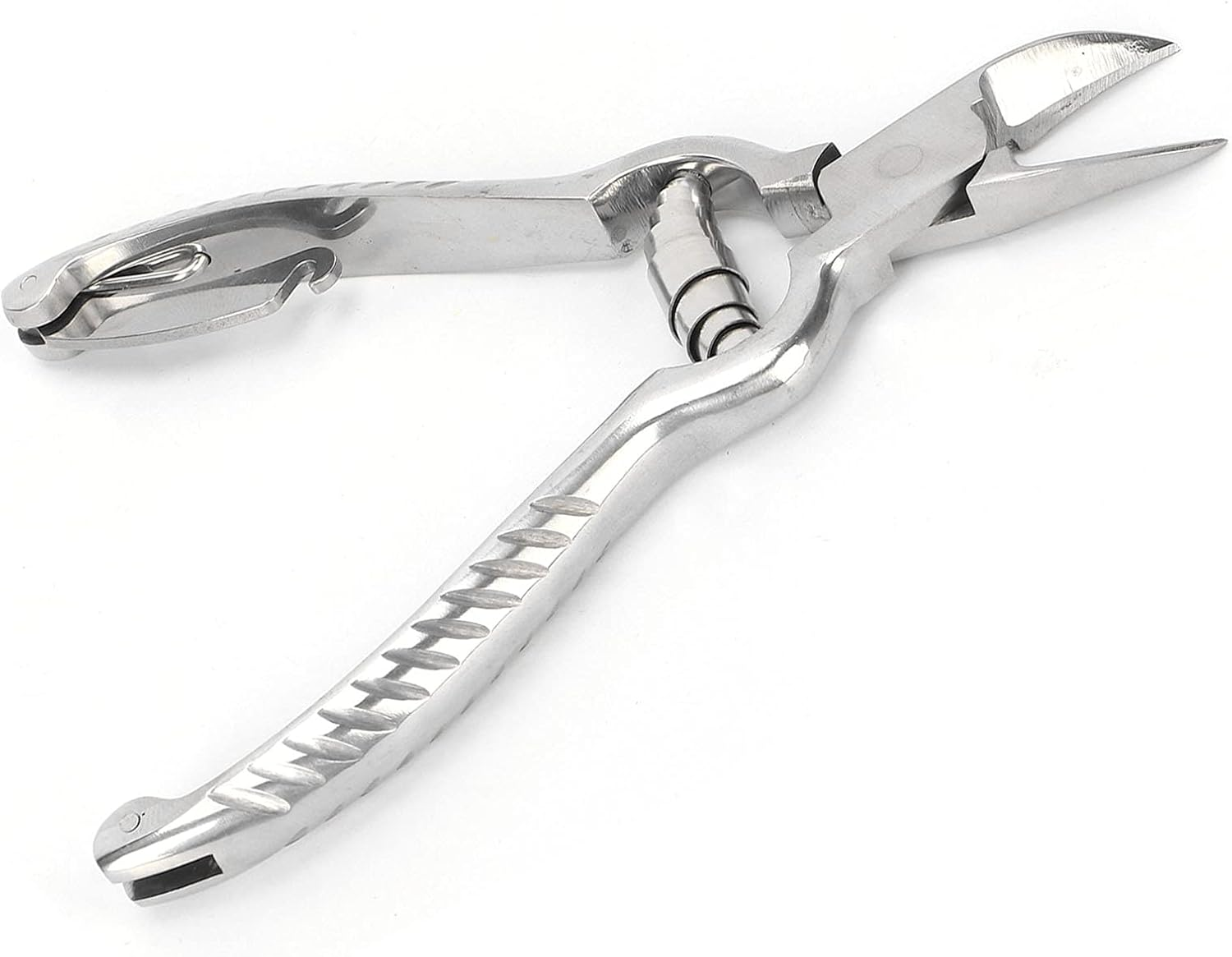 Piglet Teeth Cutter, 14Cm/ 5.5In Premium Stainless Steel Pig Tooth Nipper Teeth Clipper for Home, Farm image number 6