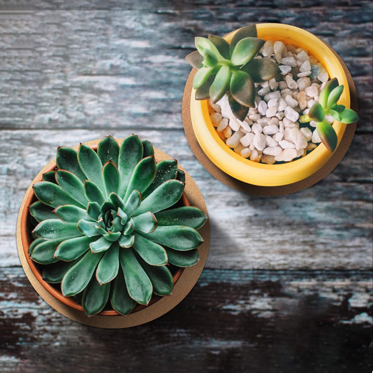 Boao 2 Pcs 12 Inch Cork Plant Coaster Cork Mat Trivet for Plant round Absorbent Corkboard Mat Pad Planter Saucers for Kitchen Dining Table Countertop Pad, Pan, Kettle and DIY Craft Supplies