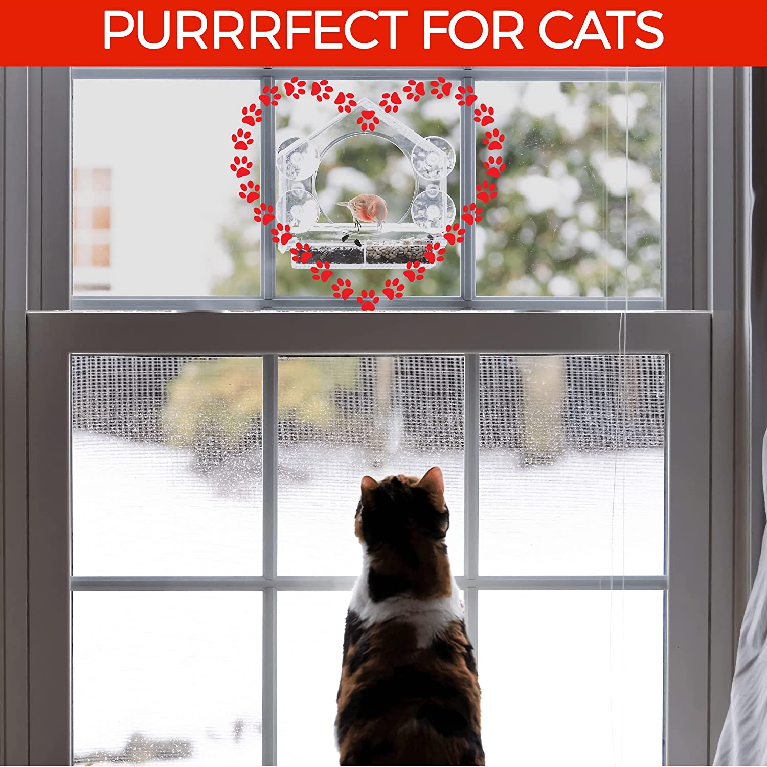 Nature Anywhere Transparent Acrylic Window Bird Feeders for Outdoors - Enhanced Suction Grip, Bird Watching for Cats, Easy-To-Clean, Outdoor Birdhouse Feeder image number 5