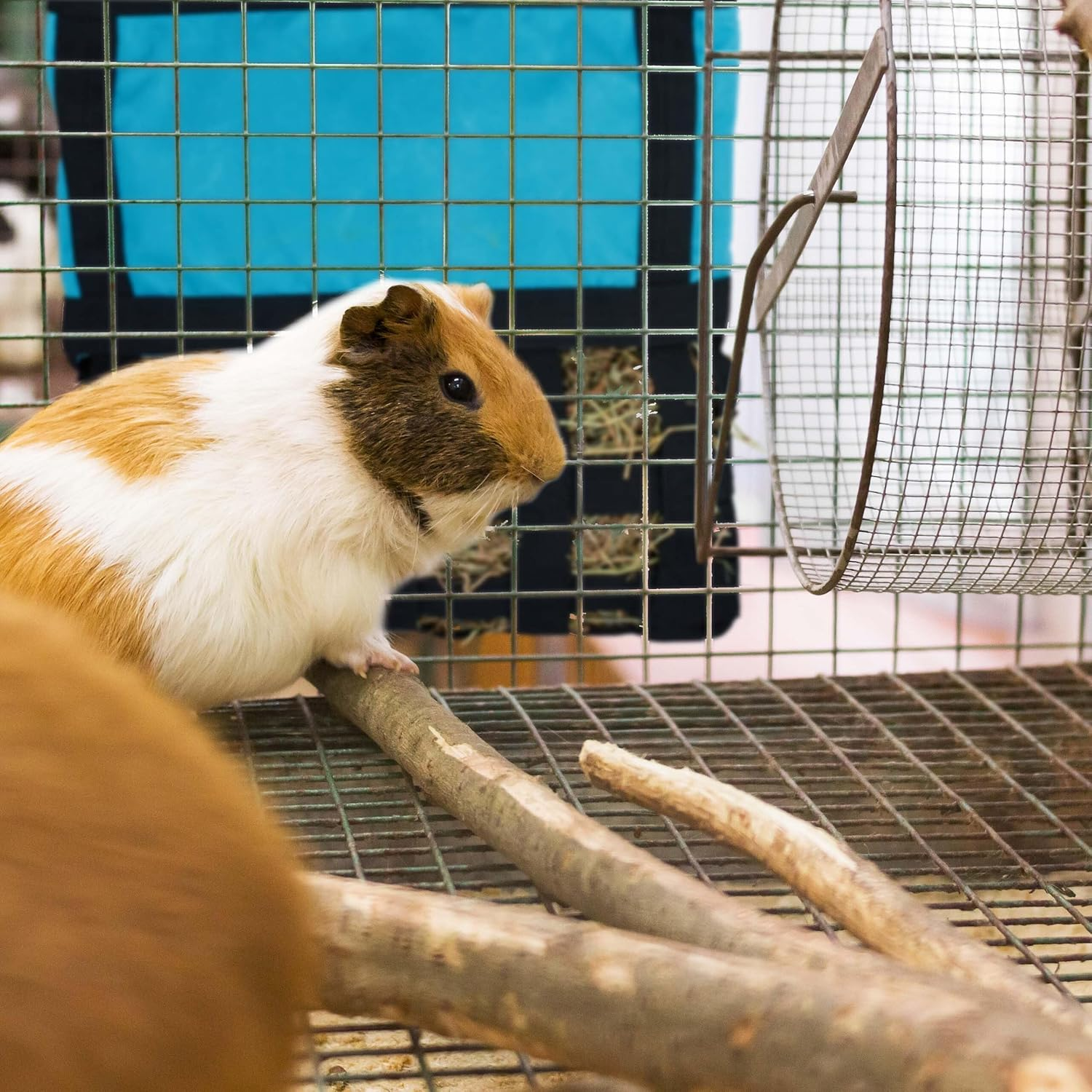 Relaxdays Fabric Hay Bag for Small Animals, H30 X W30 Cm, for Rabbits, Guinea Pigs, Hamsters, Blue/Black image number 6