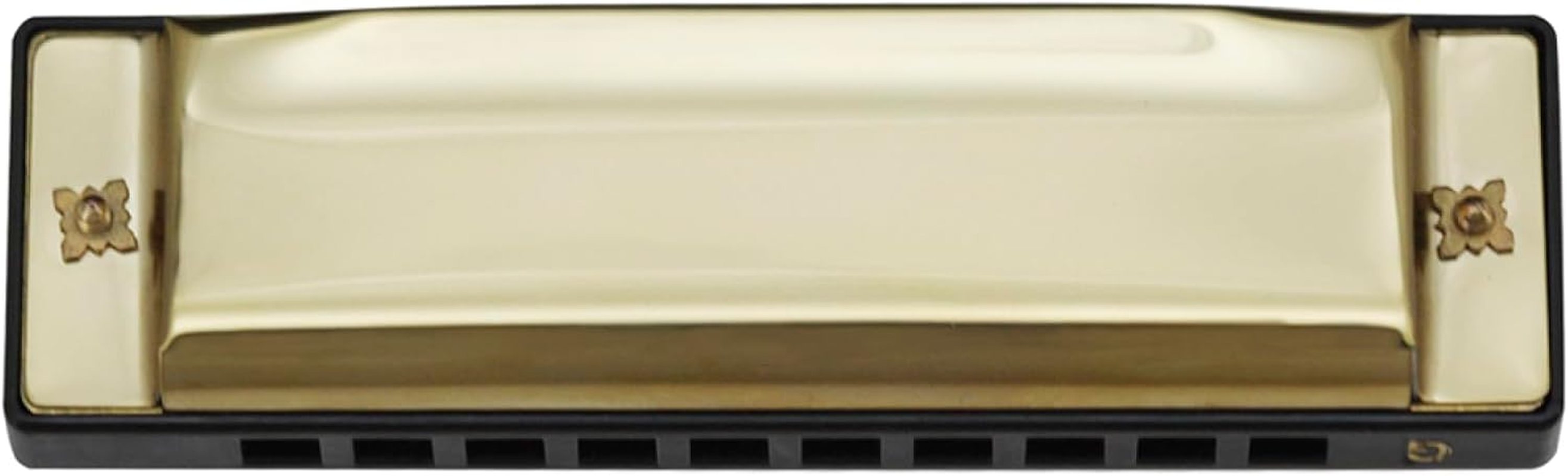 Labymos G-20 Mouthorgan 10 Holes 20 Tones Key of G Blues Harmonica with ABS Box for Beginners Music Lovers Gift Wind Instrument Gold